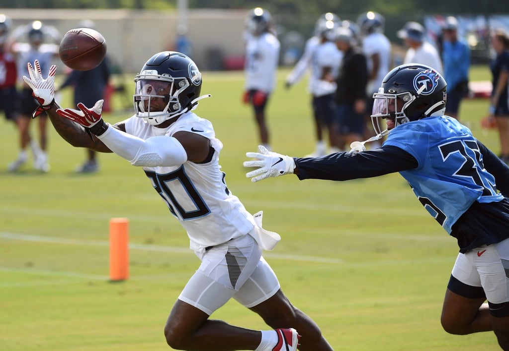 Charles Rogers, Dez Fitzpatrick, Marcus Johnson, Race McMath, Josh Reynolds, depth, Titans, roster, training camp, WR, Wide Receiver