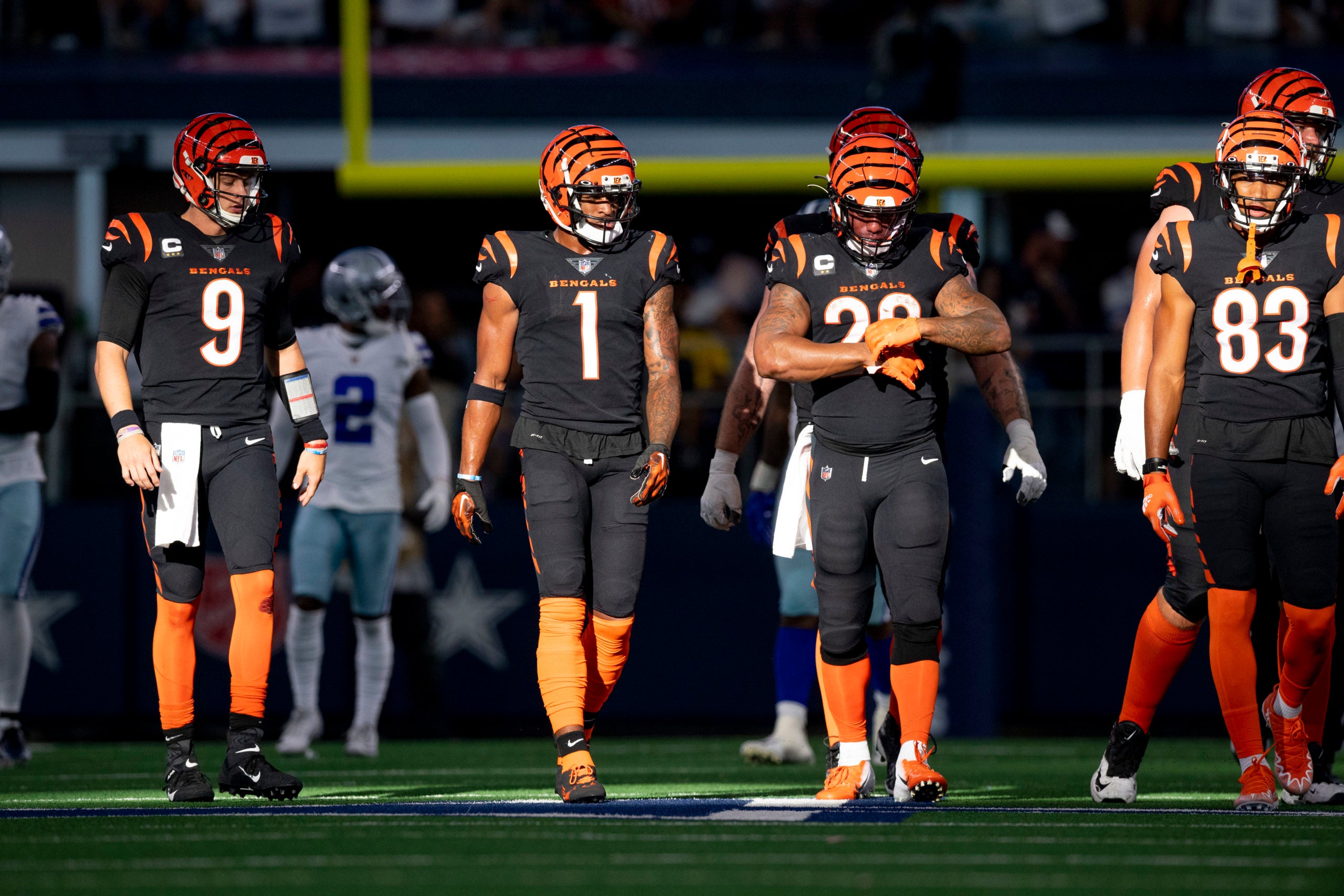 Cincinnati Bengals
