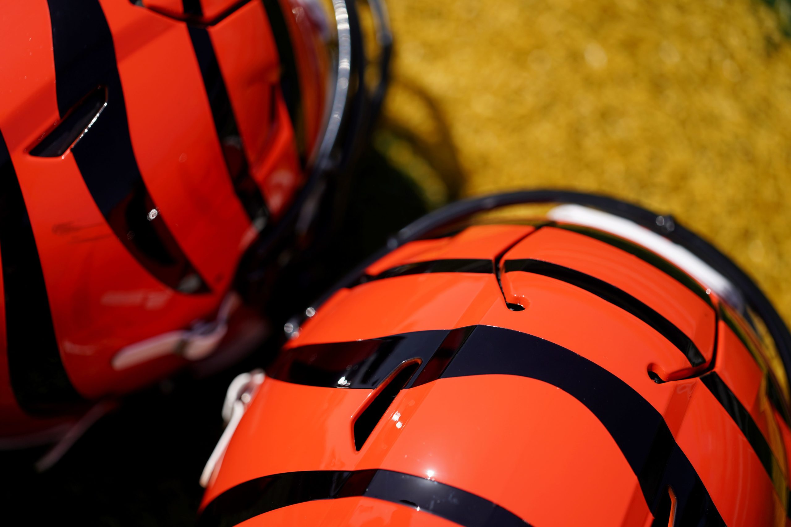 Cincinnati Bengals