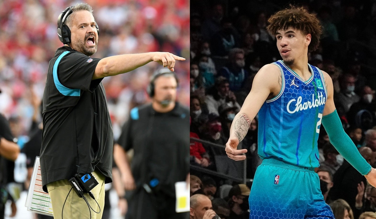 Rhule Hornets Panthers