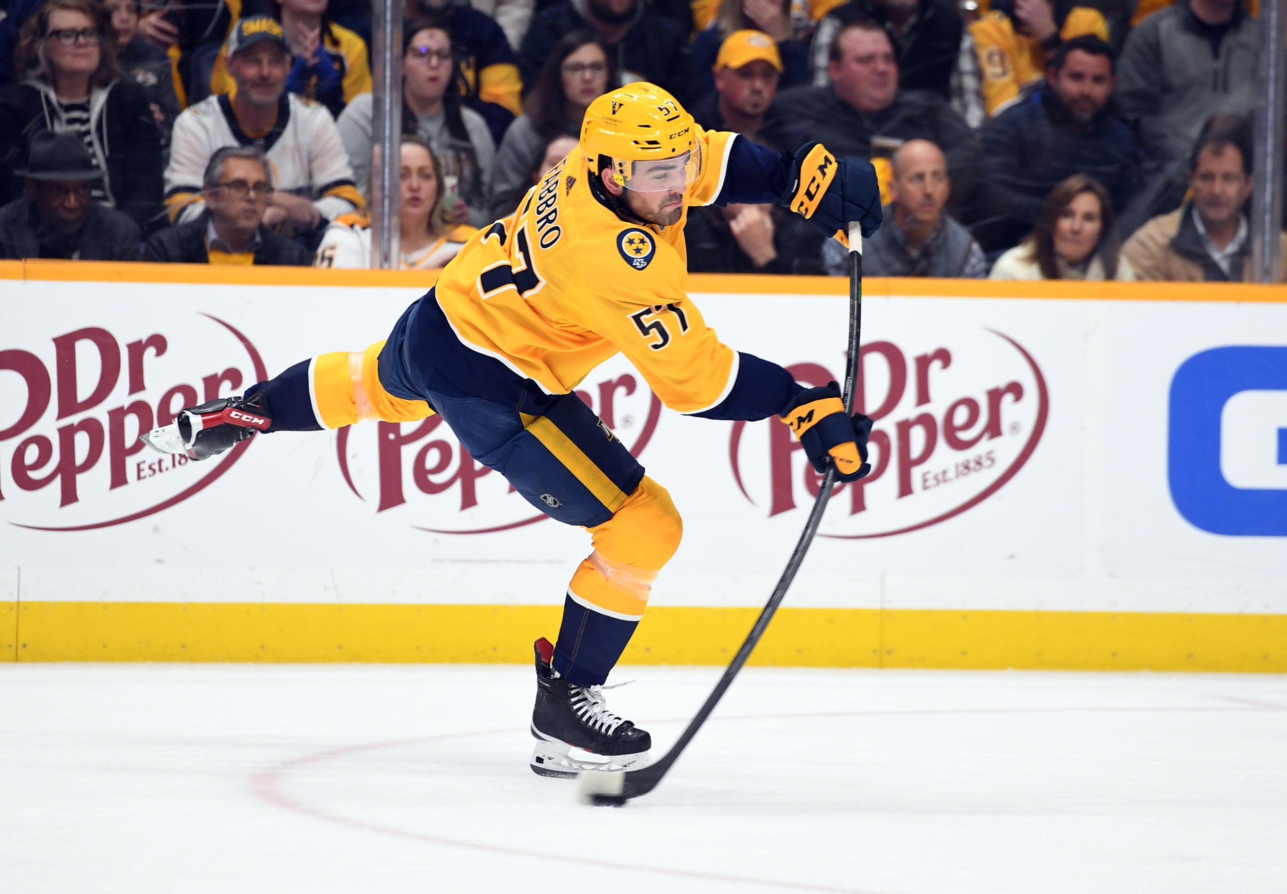 Nashville Predators Dante Fabbro defensive pairing