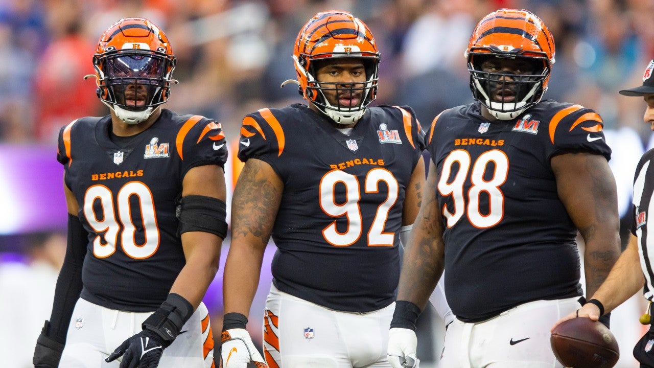 Bengals AFC North Browns Reader