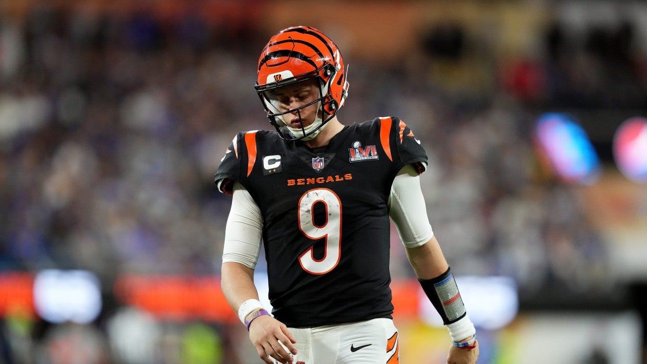 Rich results on Google's SERP when searching for 'Burrow'