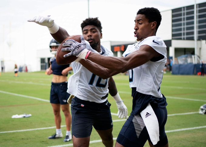 Tennessee Titans WR wide receiver Dez Fitzpatrick Louisville stats training camp highlights catch Robert Woods Treylon Burks NWI Kyle Philips depth chart