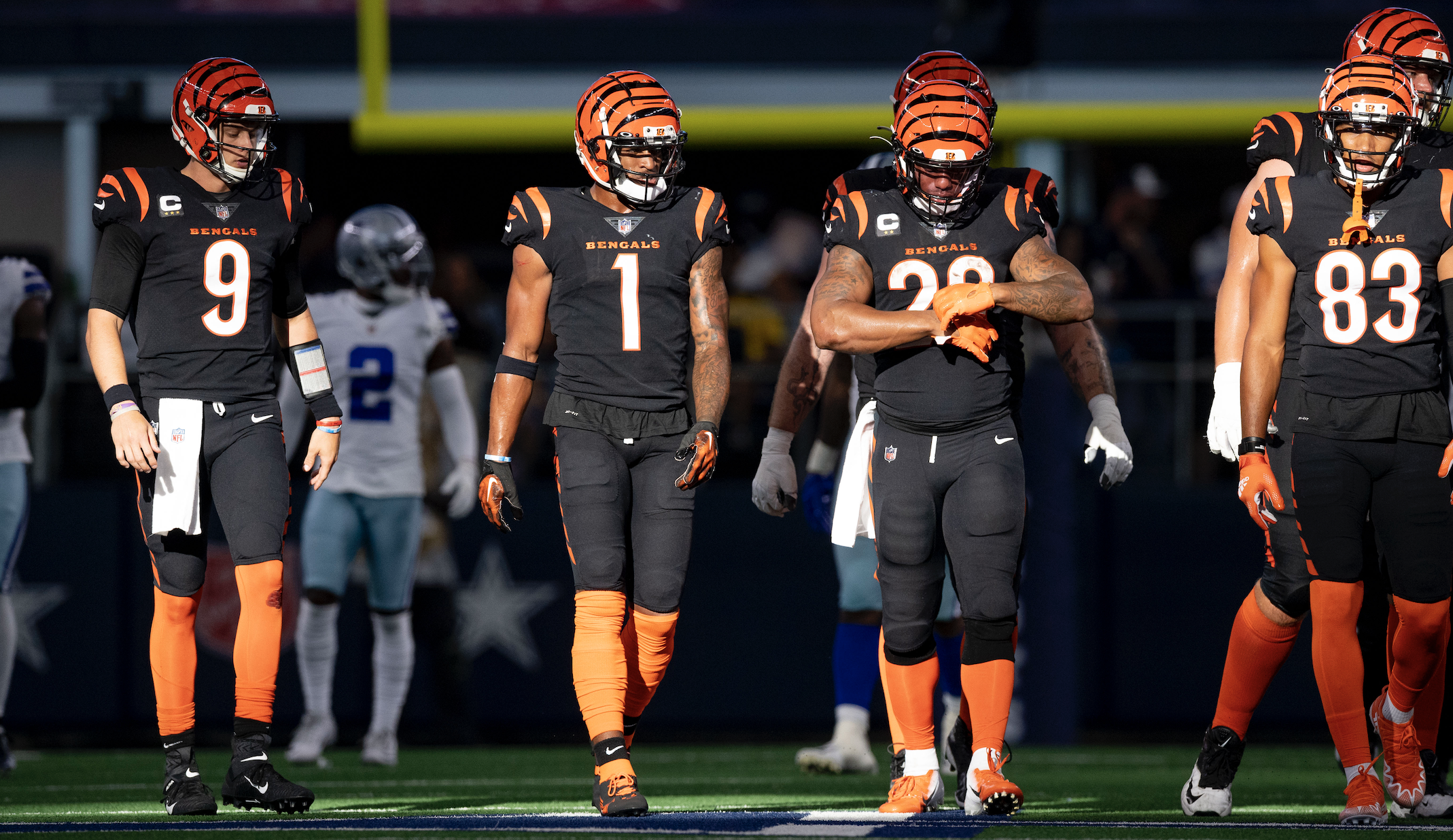 Bengals