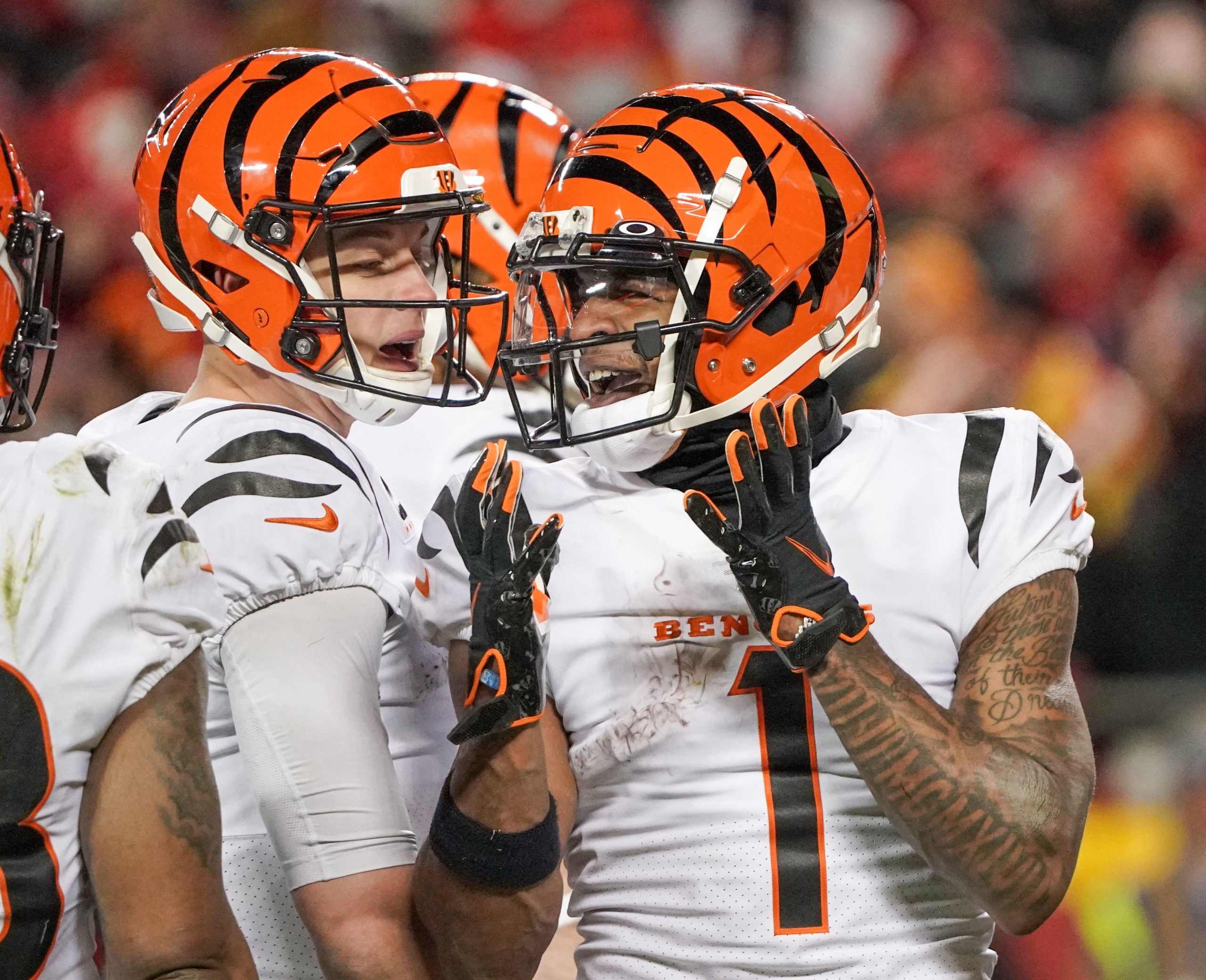 Cincinnati Bengals