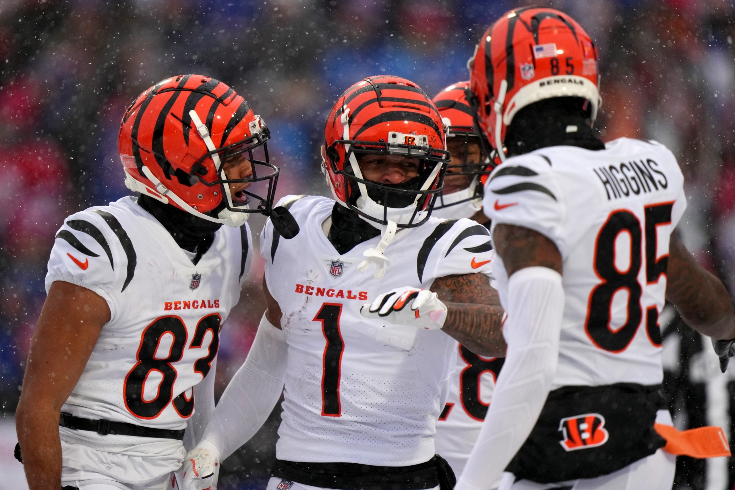 bengals