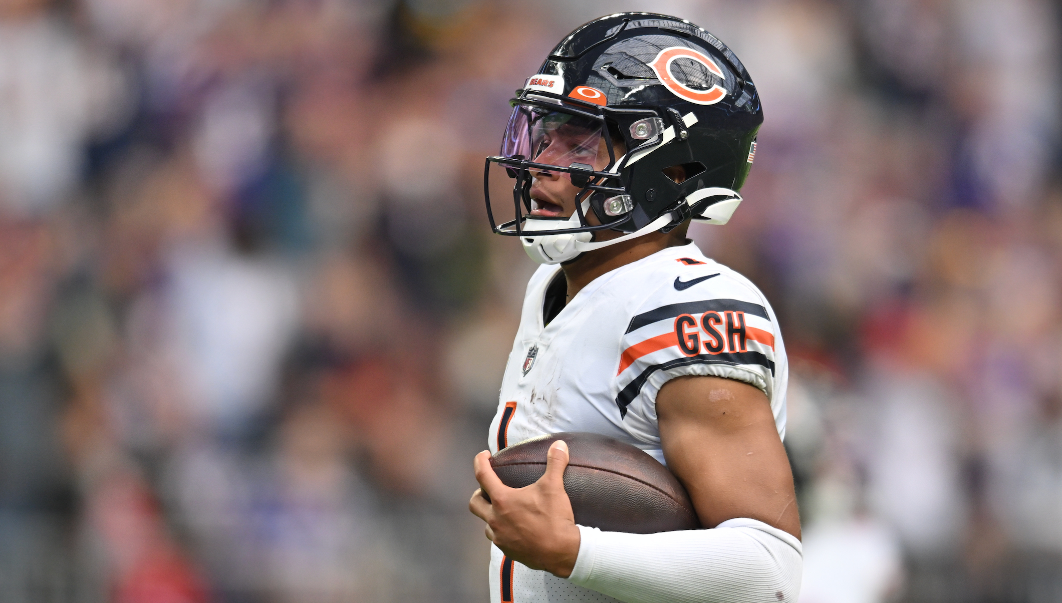 Bears news