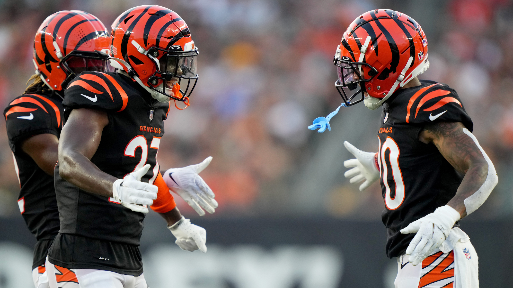 Bengals