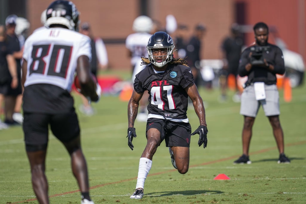 Falcons safety Lukas Denis