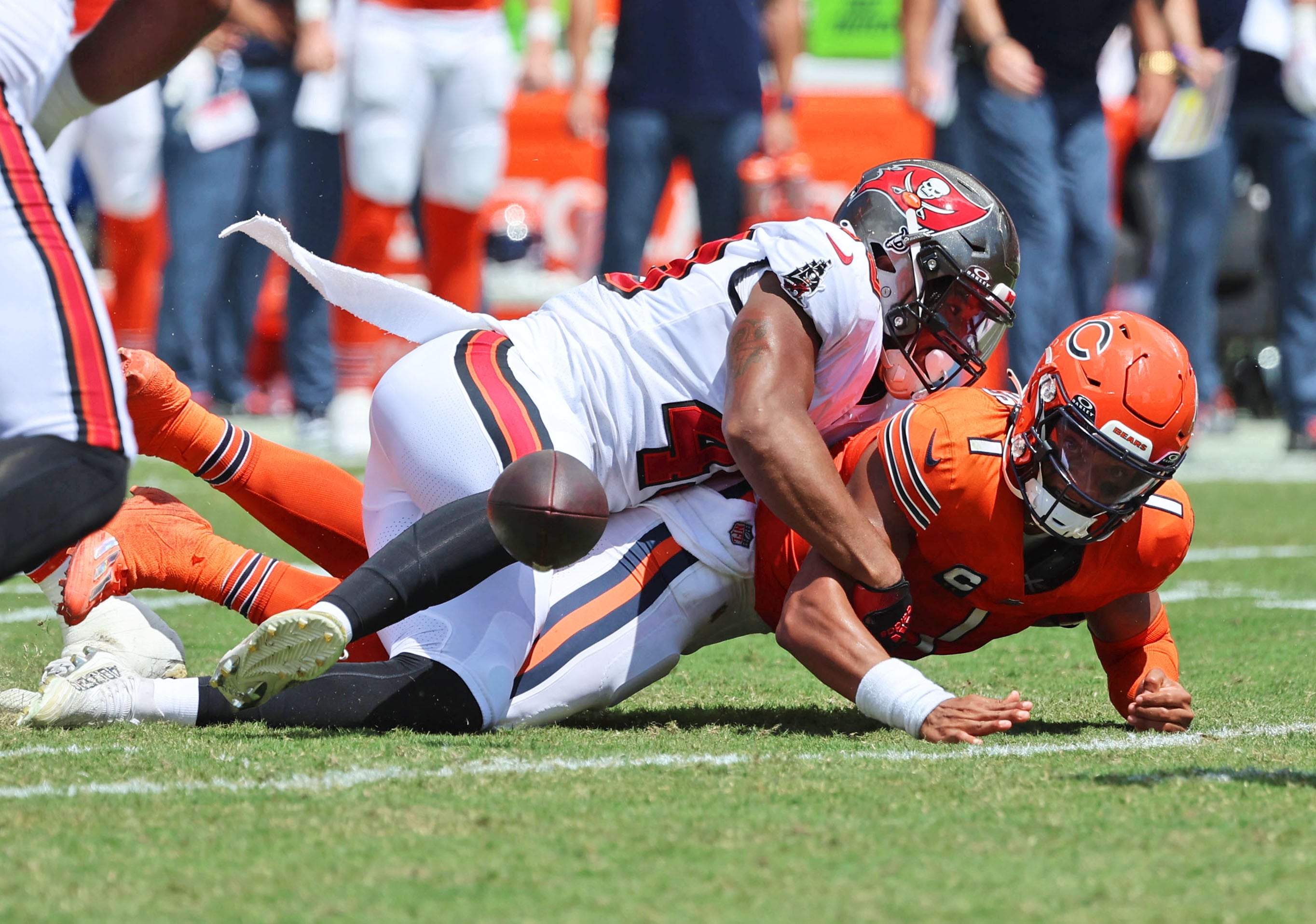 Sep 17, 2023; Tampa, Florida, USA; Tampa Bay Buccaneers linebacker Cam Gill (49) sacks Chicago Bears quarterback Justin Fields (1) and forces him to fumble the ball during the second quarter at Raymond James Stadium. Mandatory Credit: Kim Klement Neitzel-USA TODAY Sports