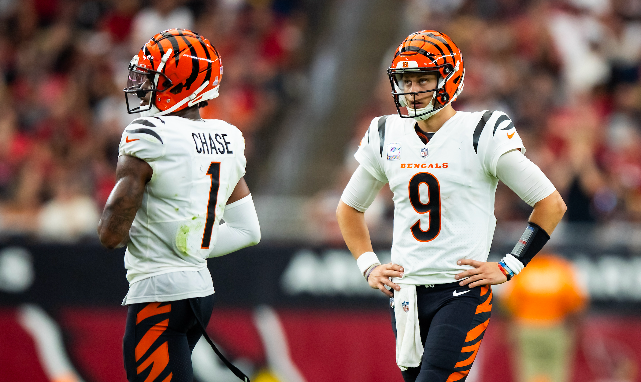 Bengals football news