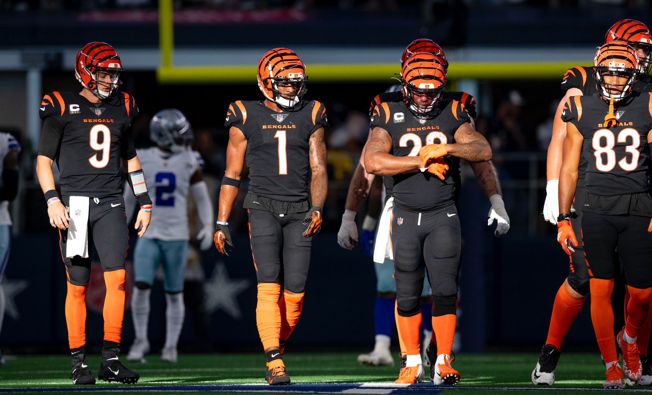 Bengals news football