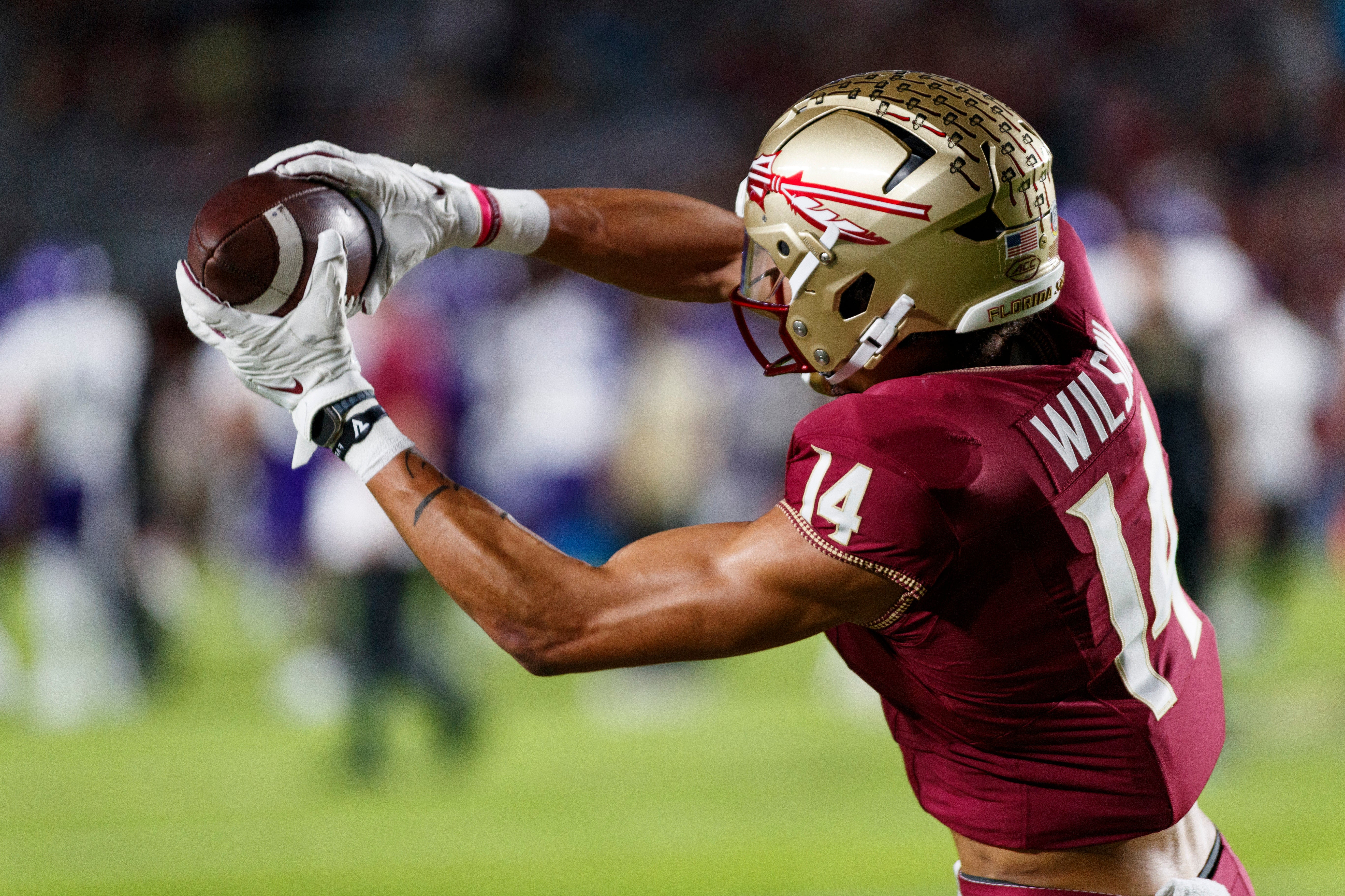 Nov 18, 2023; Tallahassee, Florida, USA; Florida State Seminoles wide receiver Johnny Wilson (14) catches the ball during the warm ups against the North Alabama Lions at Doak S. Campbell Stadium. Mandatory Credit: Morgan Tencza-USA TODAY Sports