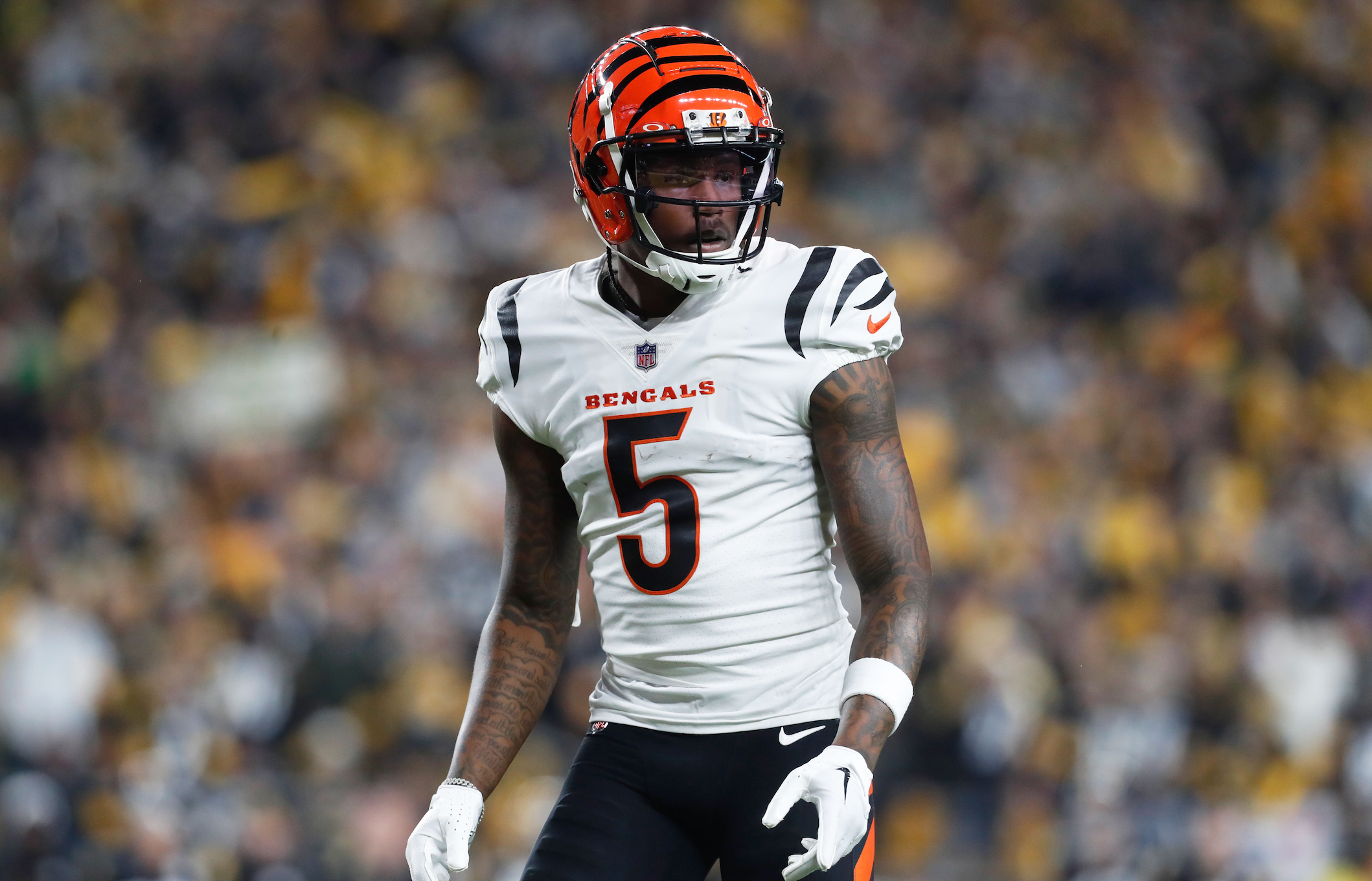Bengals News