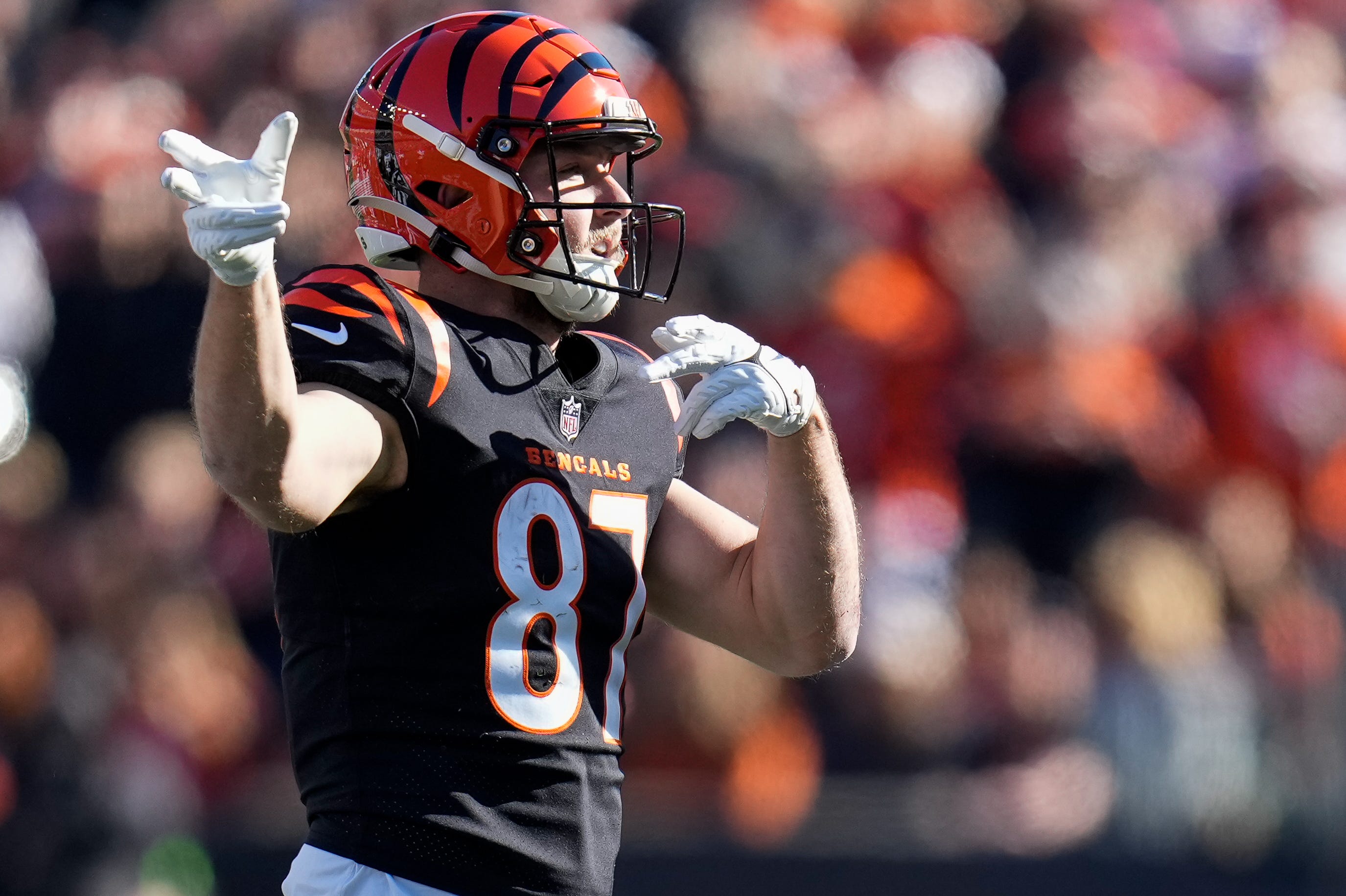 Bengals tight end Tanner Hudson