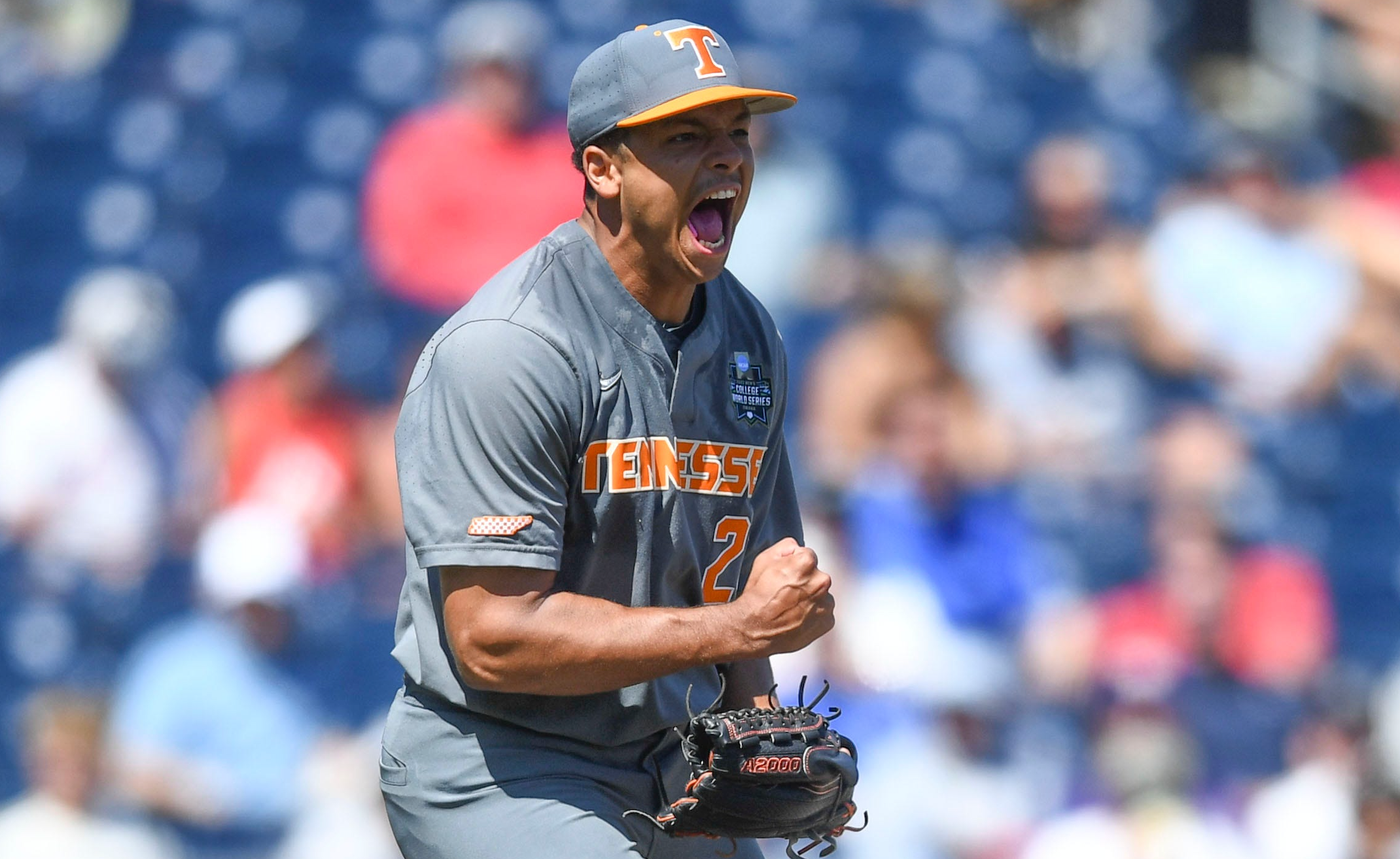 Tennessee Vols baseball