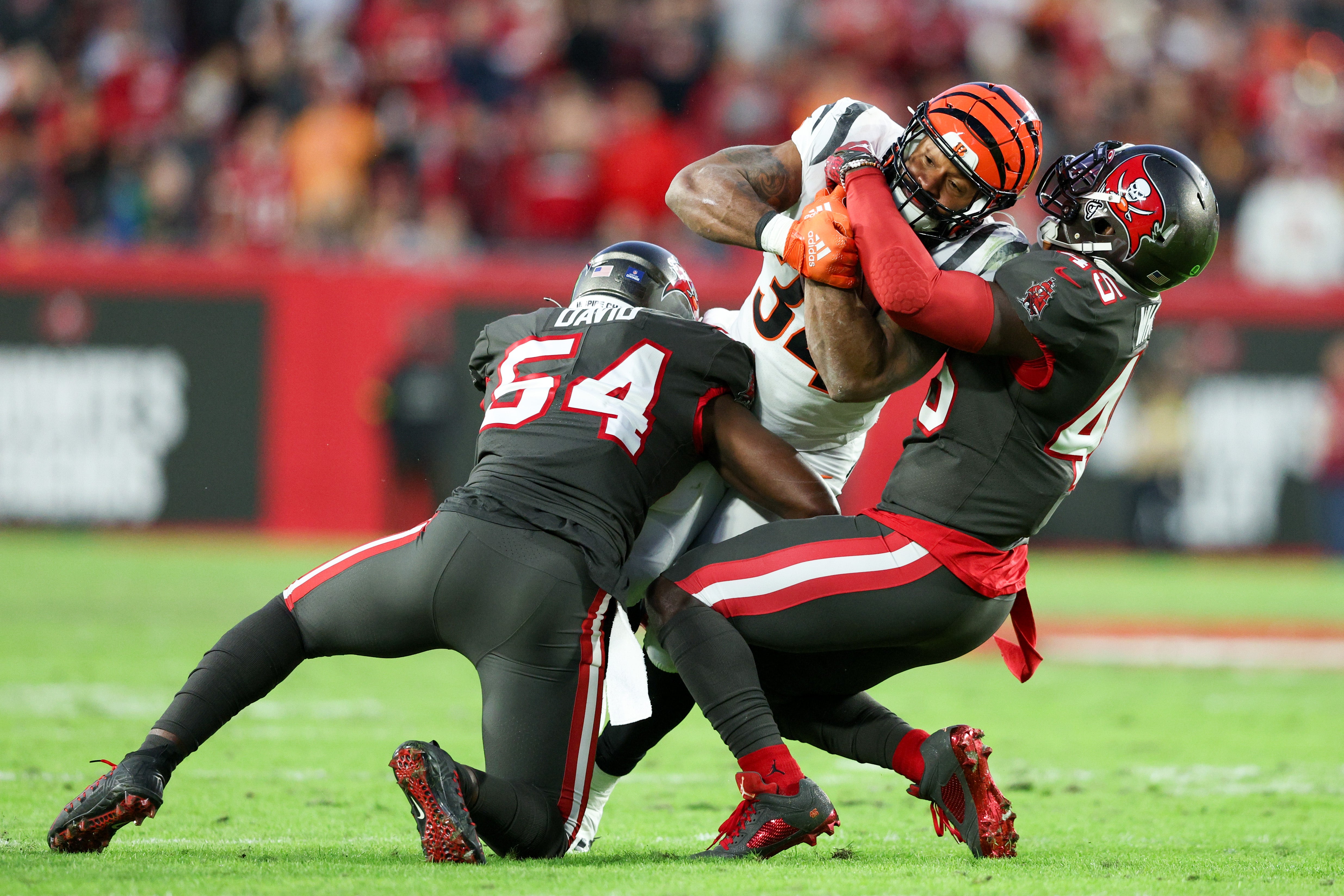 Dec 18, 2022; Tampa, Florida, USA; Cincinnati Bengals running back Samaje Perine (34) is tackled by Tampa Bay Buccaneers linebacker Devin White (45) and linebacker Lavonte David (54) in the second quarter at Raymond James Stadium.