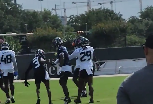 Tank Dell Stefon Diggs Houston Texans