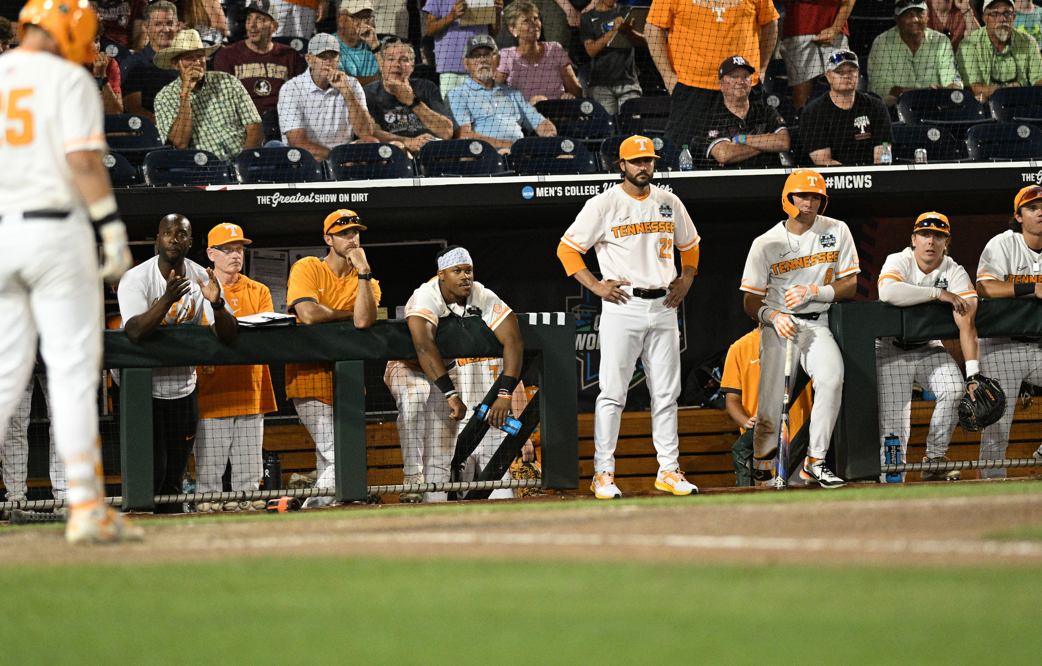 Tennessee Vols baseball news