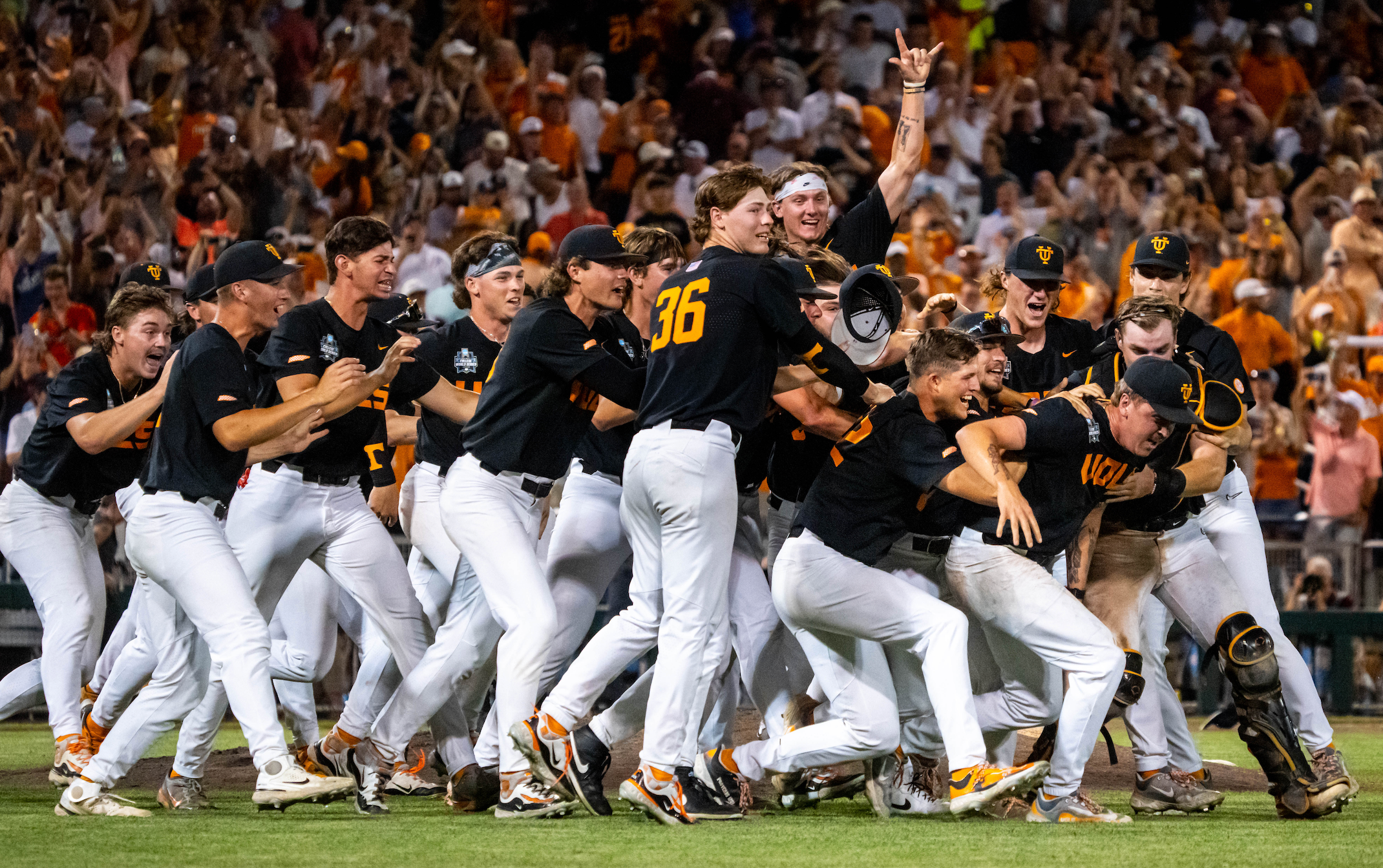 Tennessee Vols baseball