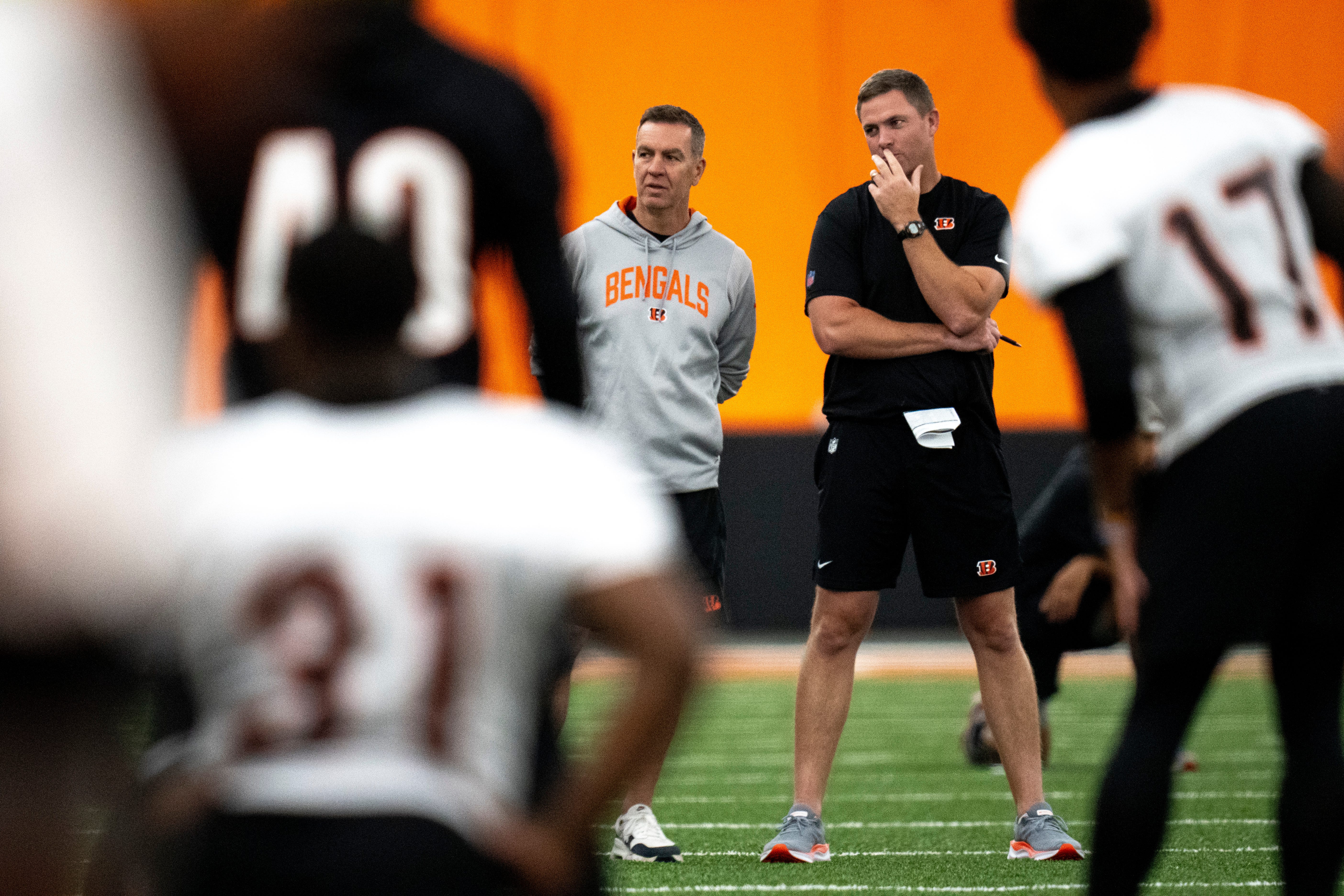 Zac Taylor Lou Anarumo