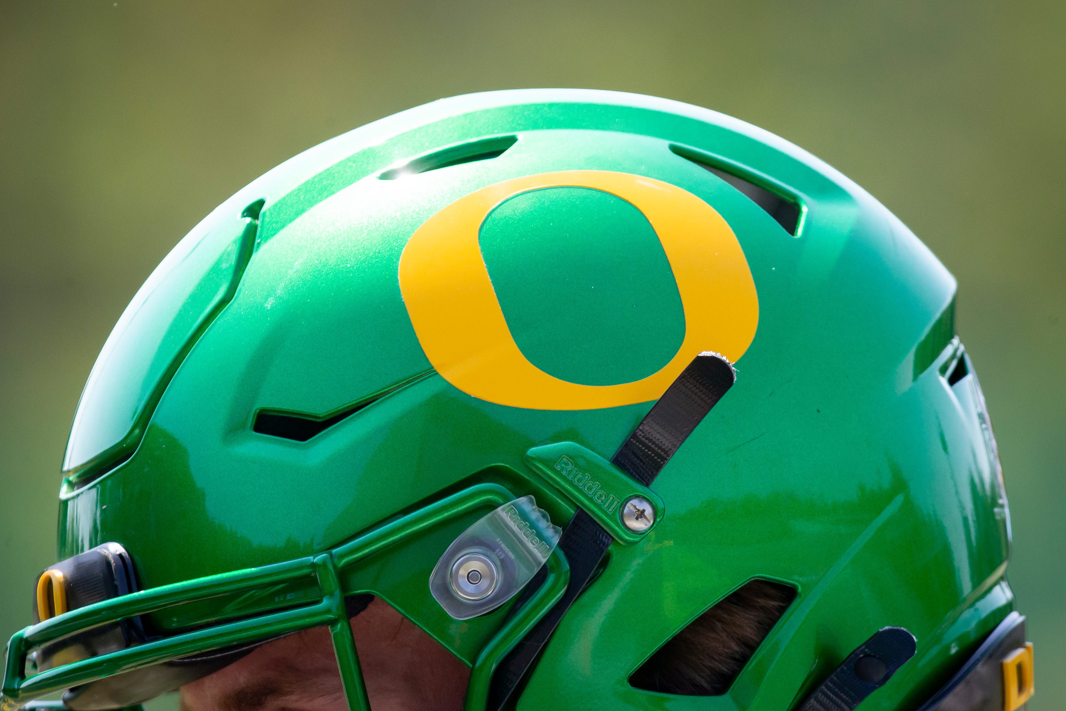 Oregon Ducks