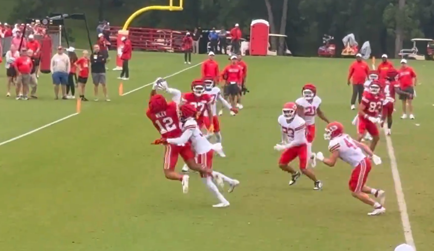 Chiefs TE Jared Wiley makes a TD catch during training camp practice.