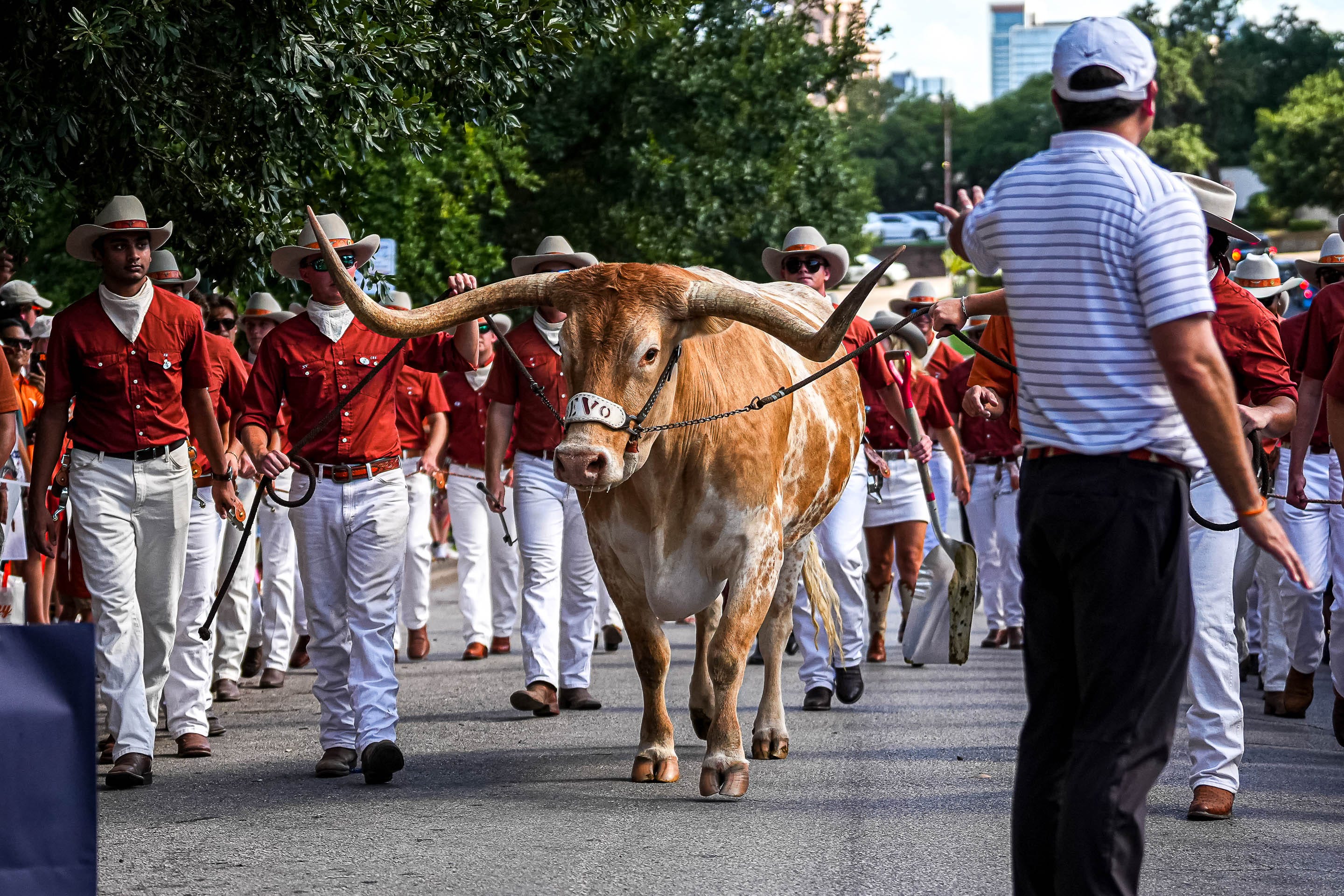 Texas Longhorns Bevo