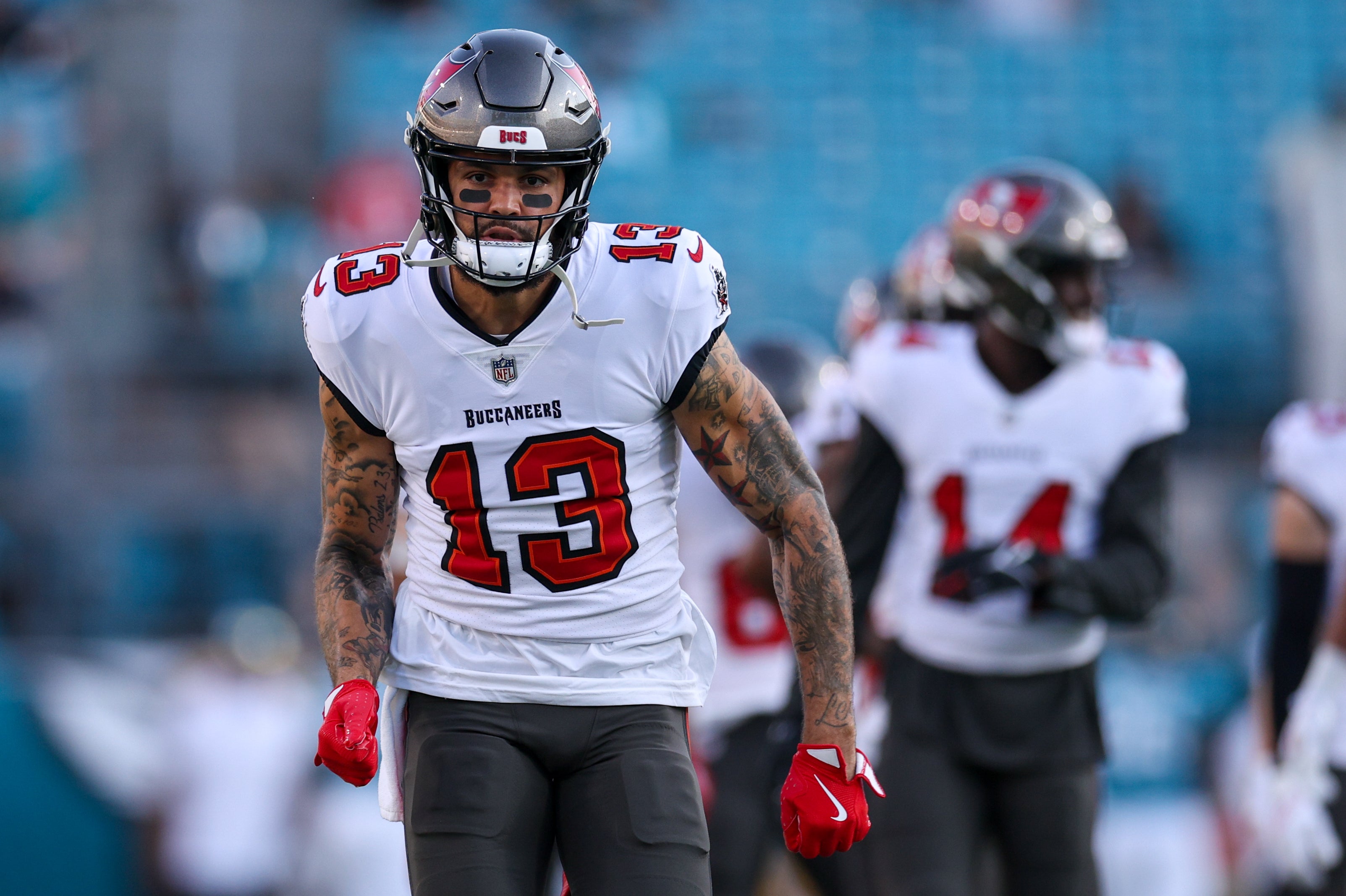 mike evans