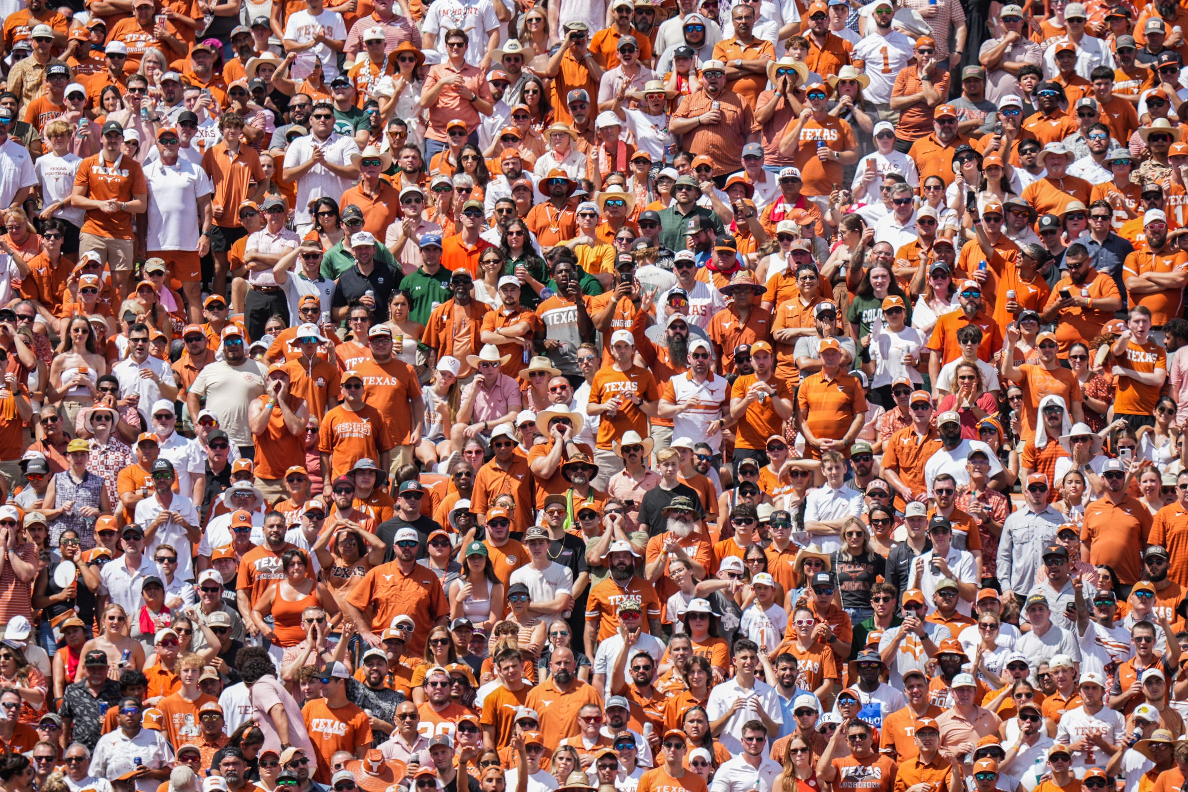 Texas Longhorns fans