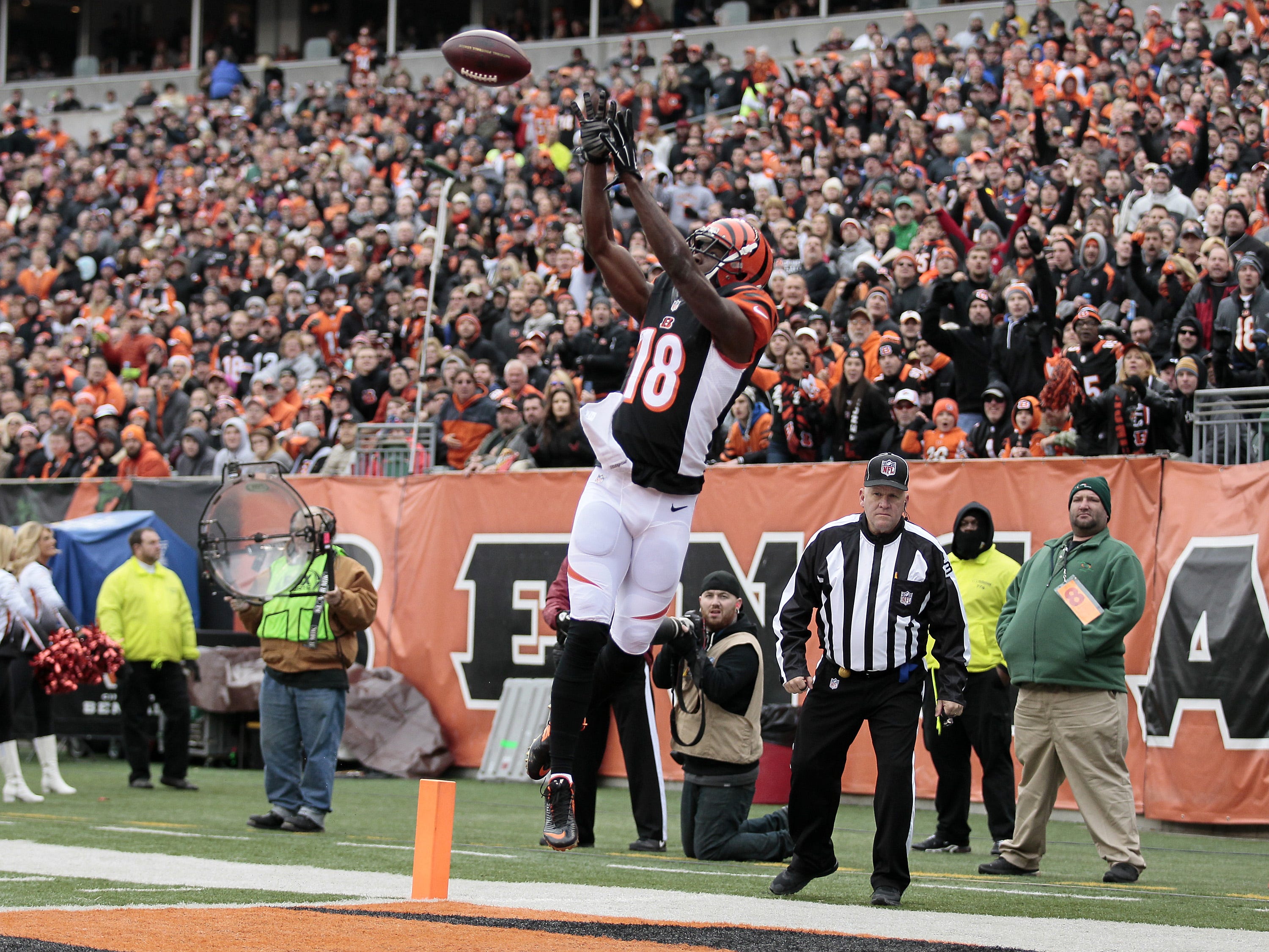 Bengals wide receiver A.J. Green makes a catch for a touchdown in the first quarter against the St. Louis Rams on Sunday, Nov. 29, 2015.  
