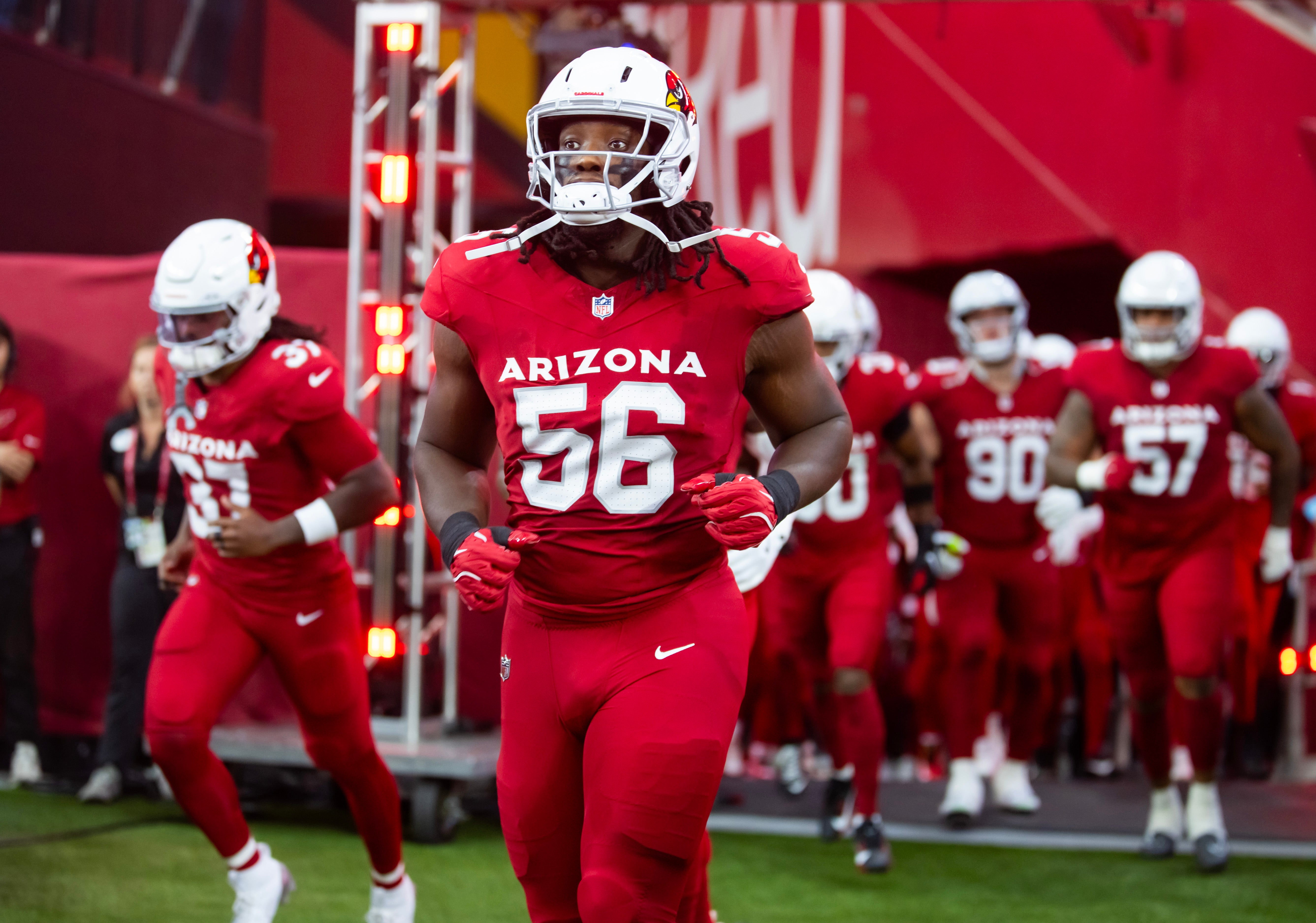 Cardinals DL Darius Robinson