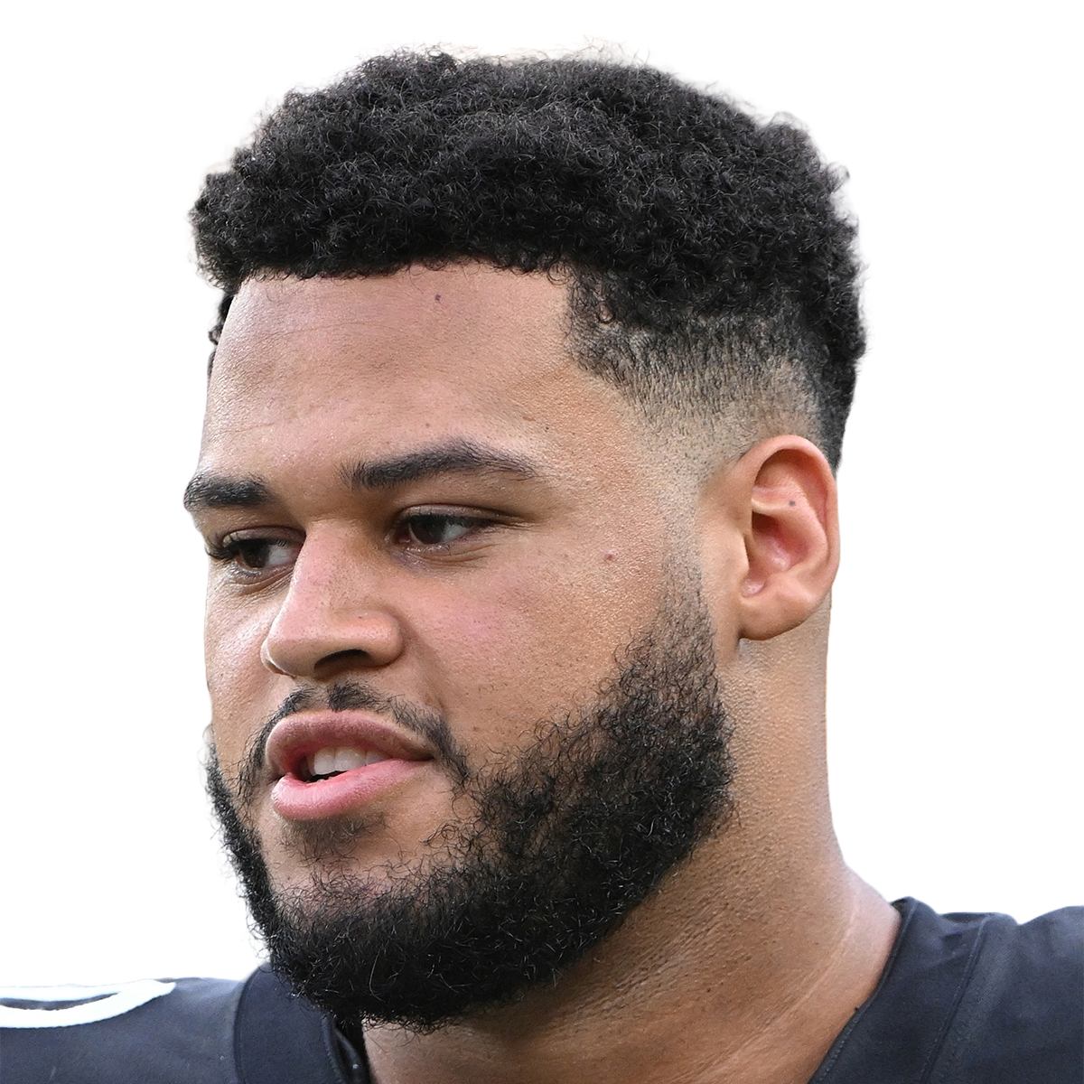 NFL Pittsburgh Steelers offensive tackle Dylan Cook