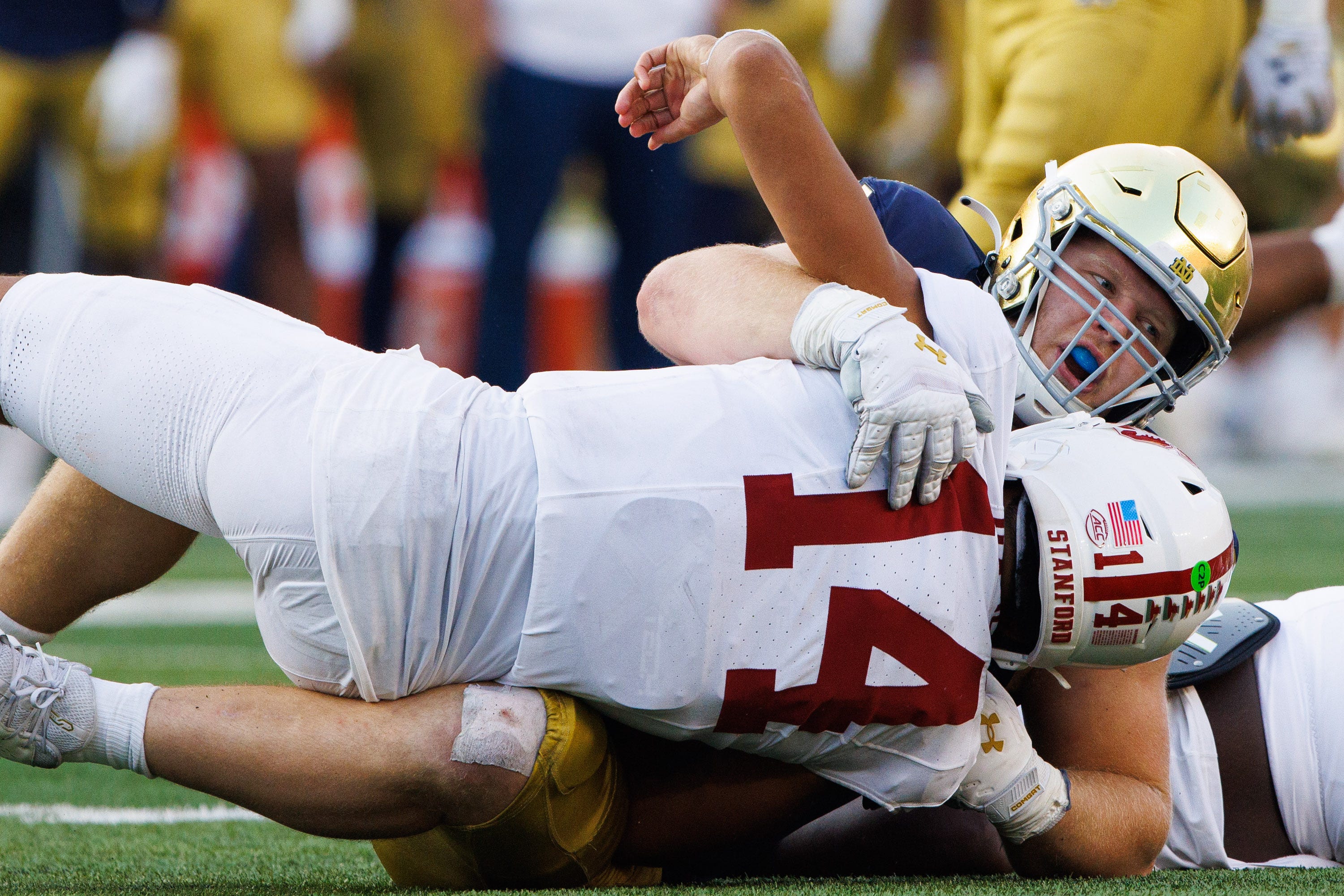 Notre Dame defensive lineman Rylie Mills (99) sacks Stanford quarterback Ashton Daniels (14) during a NCAA college football game between Notre Dame and Stanford at Notre Dame Stadium on Saturday, Oct. 12, 2024, in South Bend.