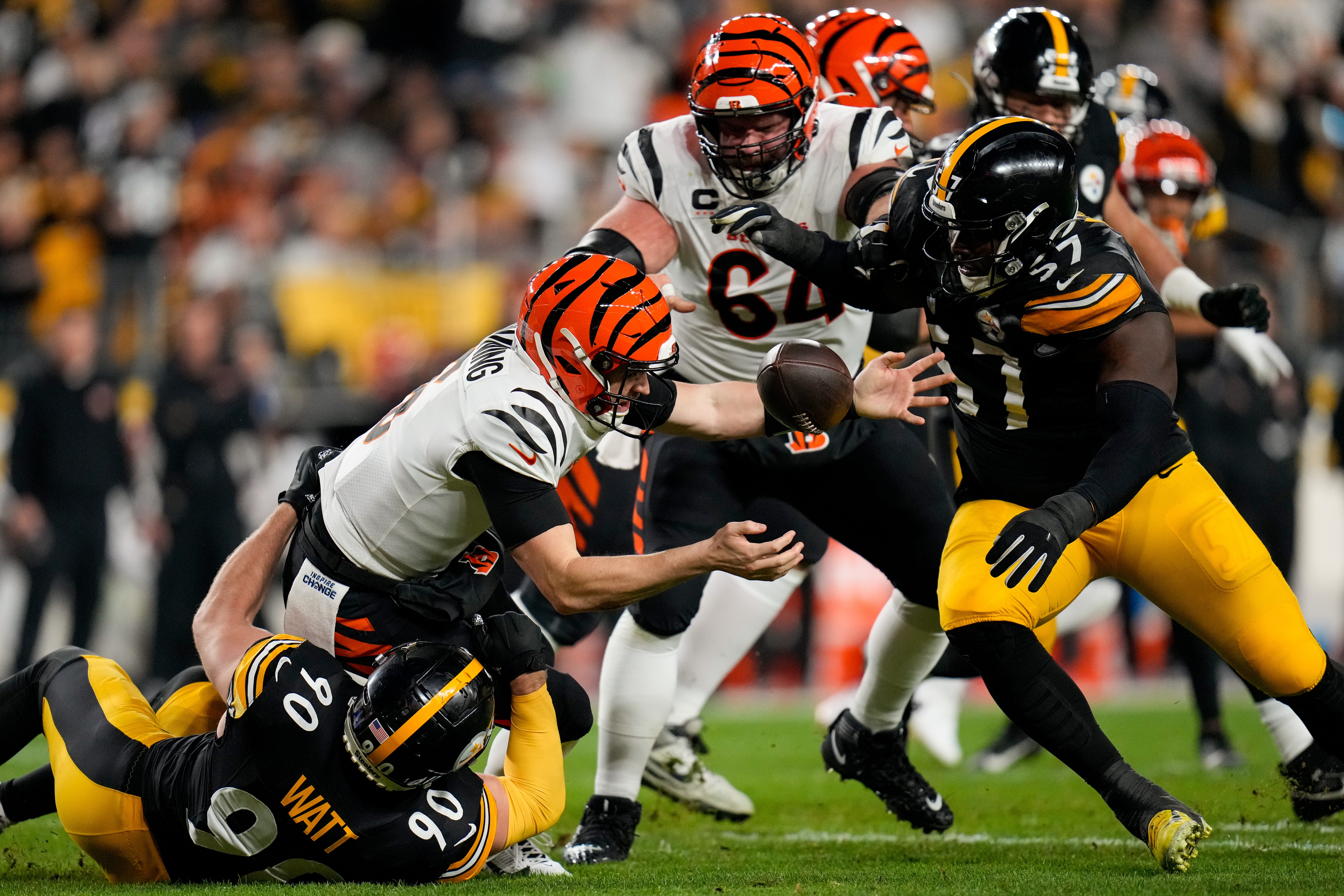 Pittsburgh Steelers linebacker T.J. Watt (90) forces Cincinnati Bengals quarterback Jake Browning (6) to fumble as he tallies a sack in the second quarter of the NFL 16 game between the Pittsburgh Steelers and the Cincinnati Bengals at Acrisure Stadium in Pittsburgh on Saturday, Dec. 23, 2023. The Steelers led 24-0 at halftime.