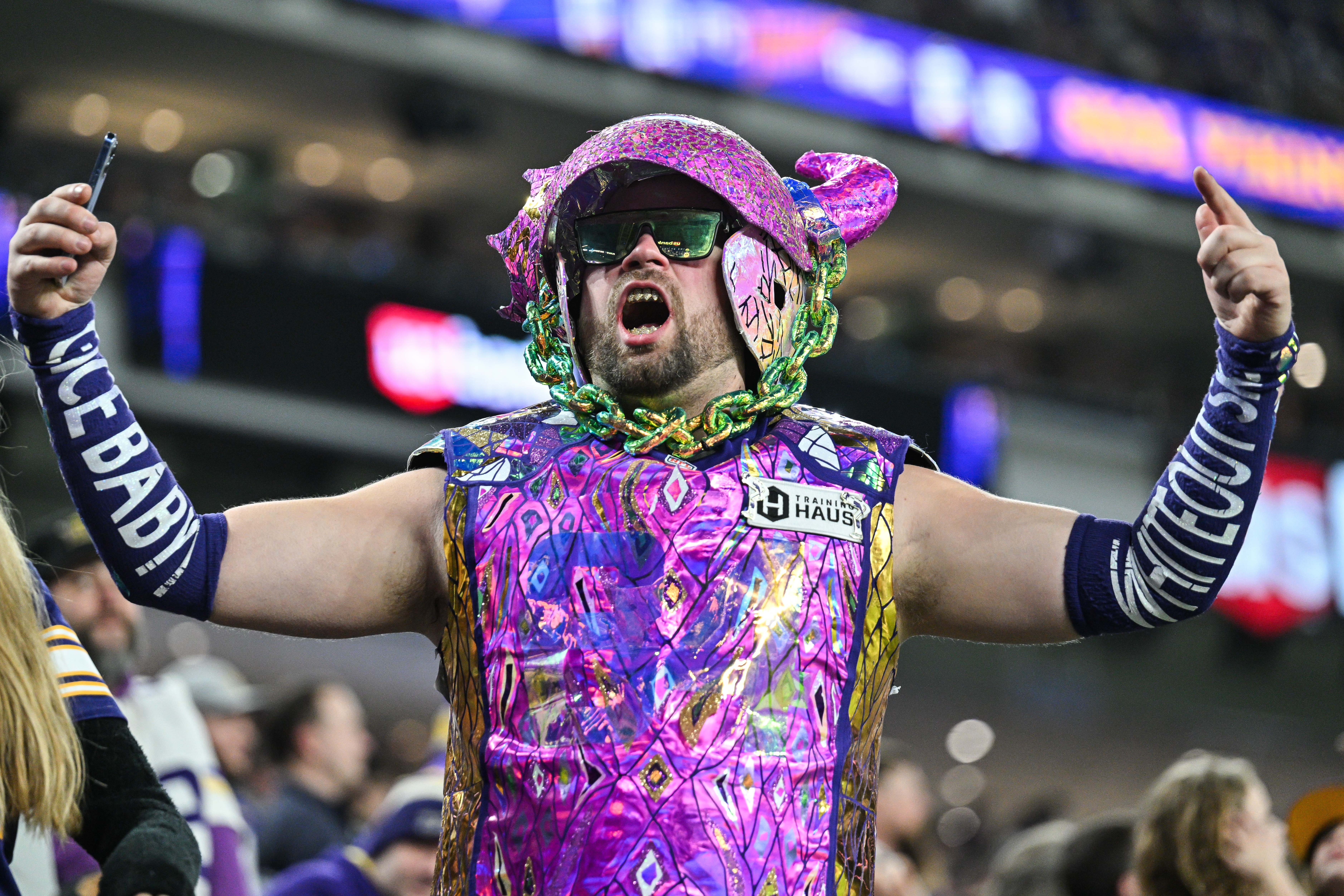Dec 29, 2024; Minneapolis, Minnesota, USA; A Minnesota Vikings fan reacts during the fourth quarter against the Green Bay Packers at U.S. Bank Stadium.