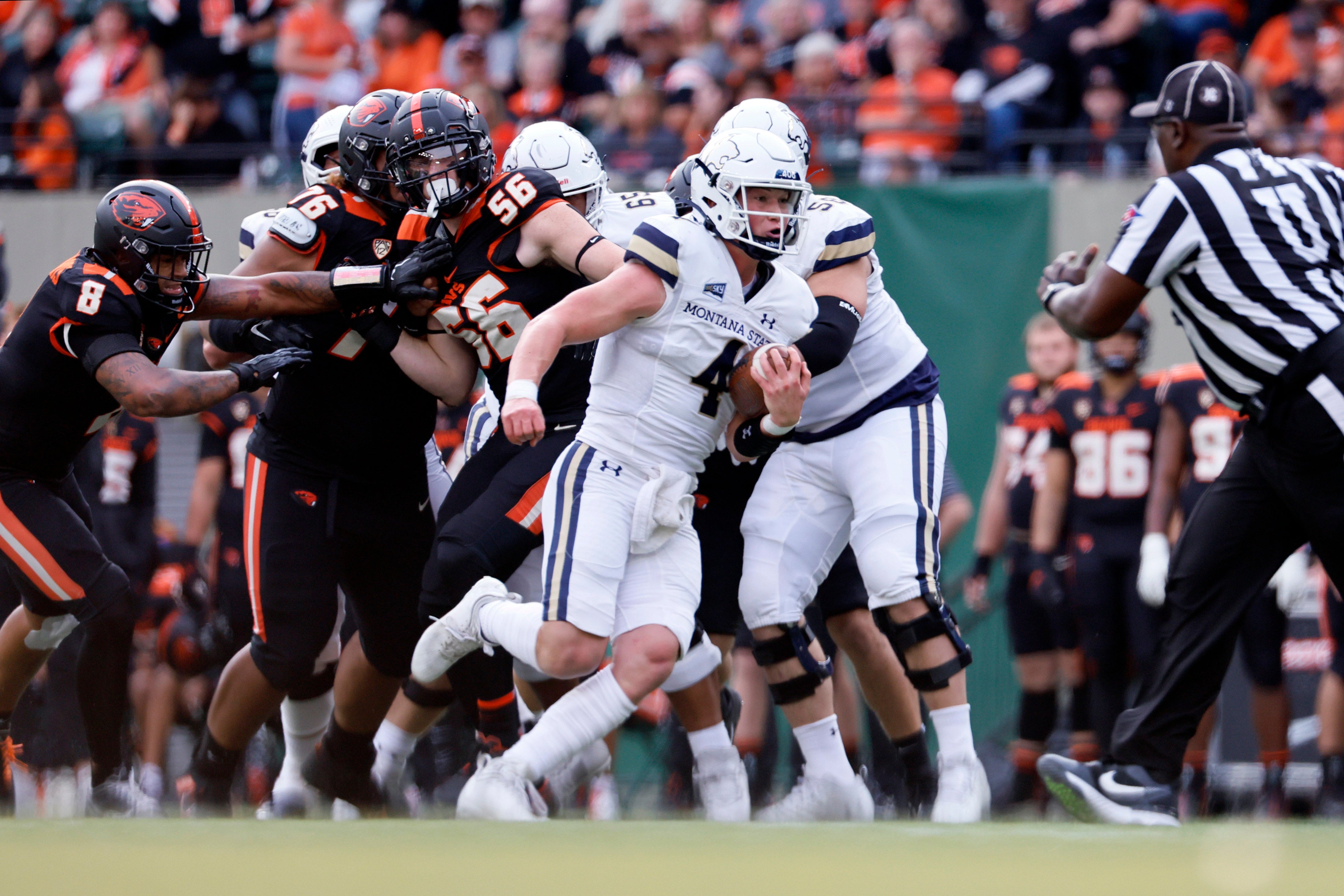 Sep 17, 2022; Portland, Oregon, USA; Montana State Bobcats quarterback Tommy Mellott (4) runs the ball during the first half against the Oregon State Beavers at Providence Park.