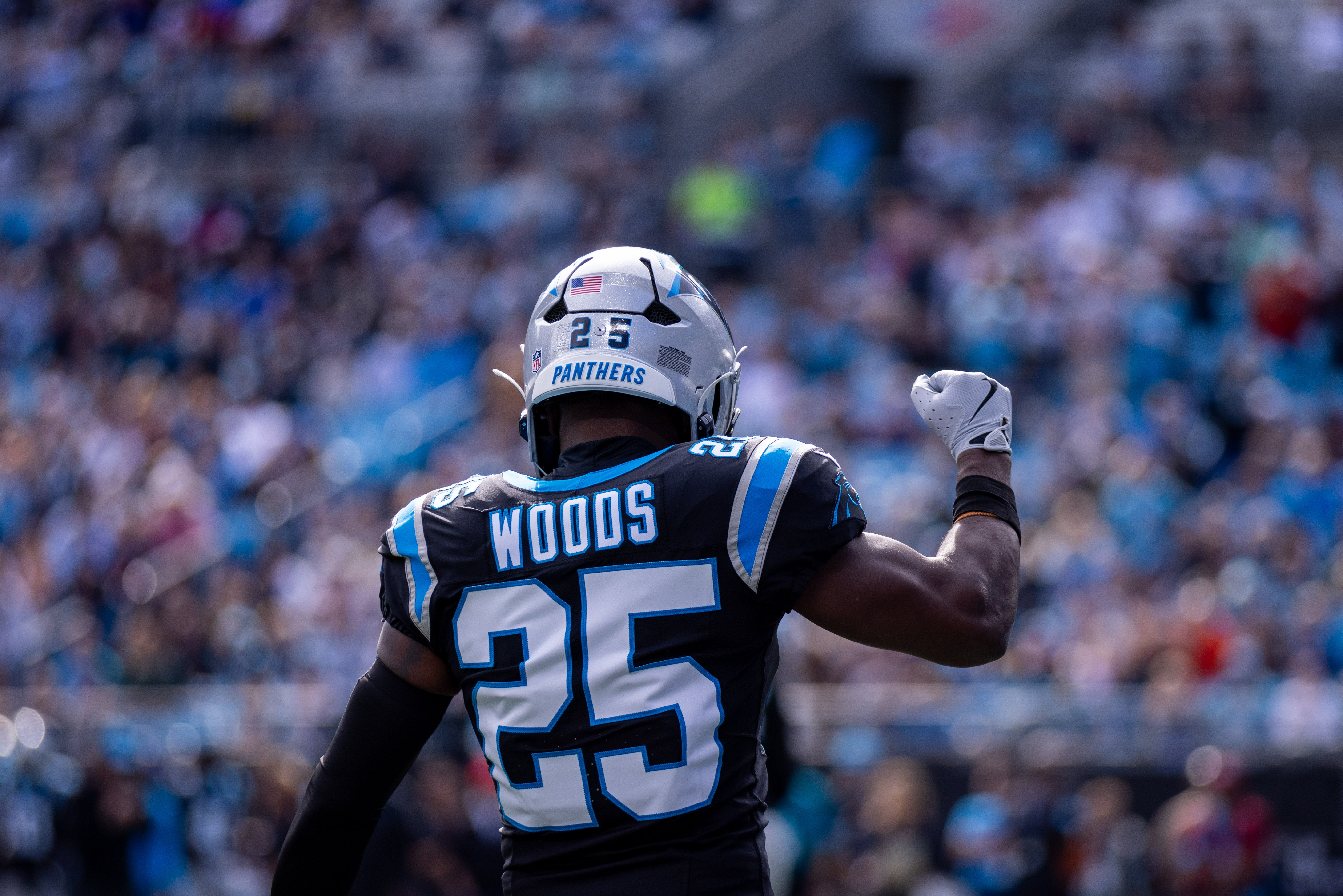 Nov 3, 2024; Charlotte, North Carolina, USA; Carolina Panthers safety Xavier Woods (25) celebrates during the first quarter against the New Orleans Saints at Bank of America Stadium. Mandatory Credit: Scott Kinser-Imagn Images