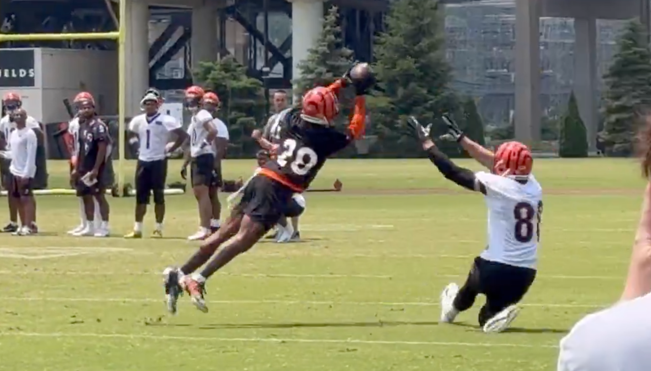 Cincinnati Bengals cornerback Cam Taylor-Britt (29) intercepts a Joe Burrow pass intended for tight end Mike Gesicki (88) during an OTA practice session on June 3, 2025.