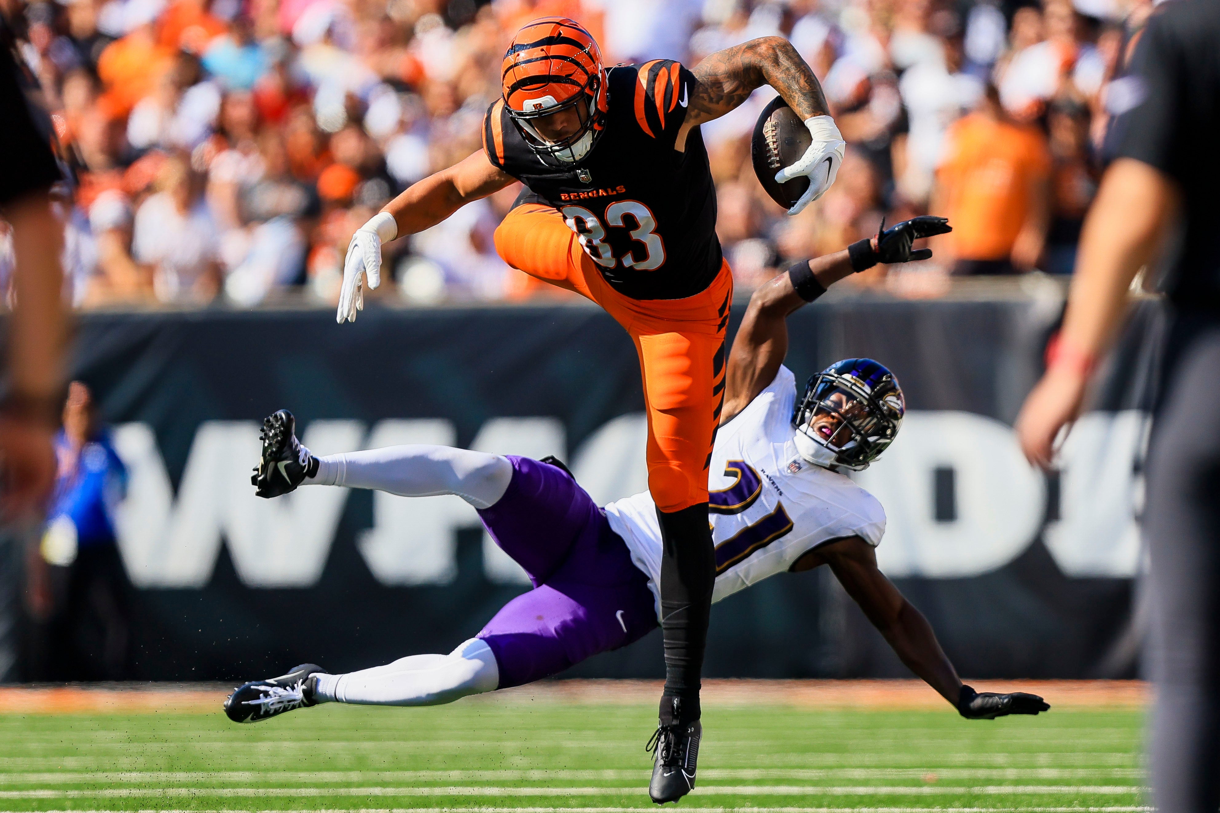 Oct 6, 2024; Cincinnati, Ohio, USA; Cincinnati Bengals tight end Erick All Jr. (83) hurdles over Baltimore Ravens cornerback Brandon Stephens (21) in the second half at Paycor Stadium.