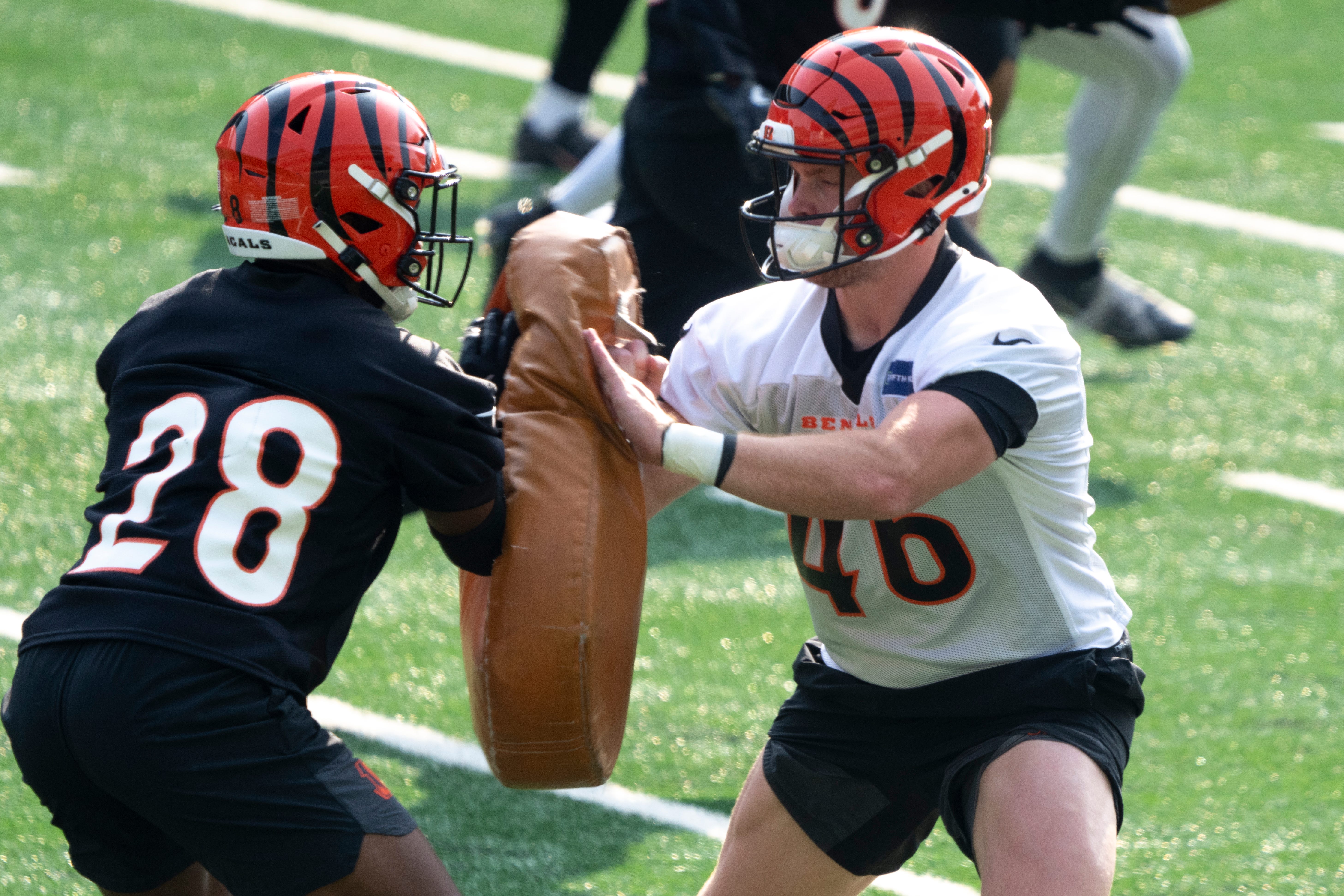 Cincinnati Bengals cornerback DJ Ivey (38) and Cincinnati Bengals long snapper William Wagner (46) run a drill at Bengals Mini Camp inside Paycor Stadium in Cincinnati on Thursday, June 12, 2025.