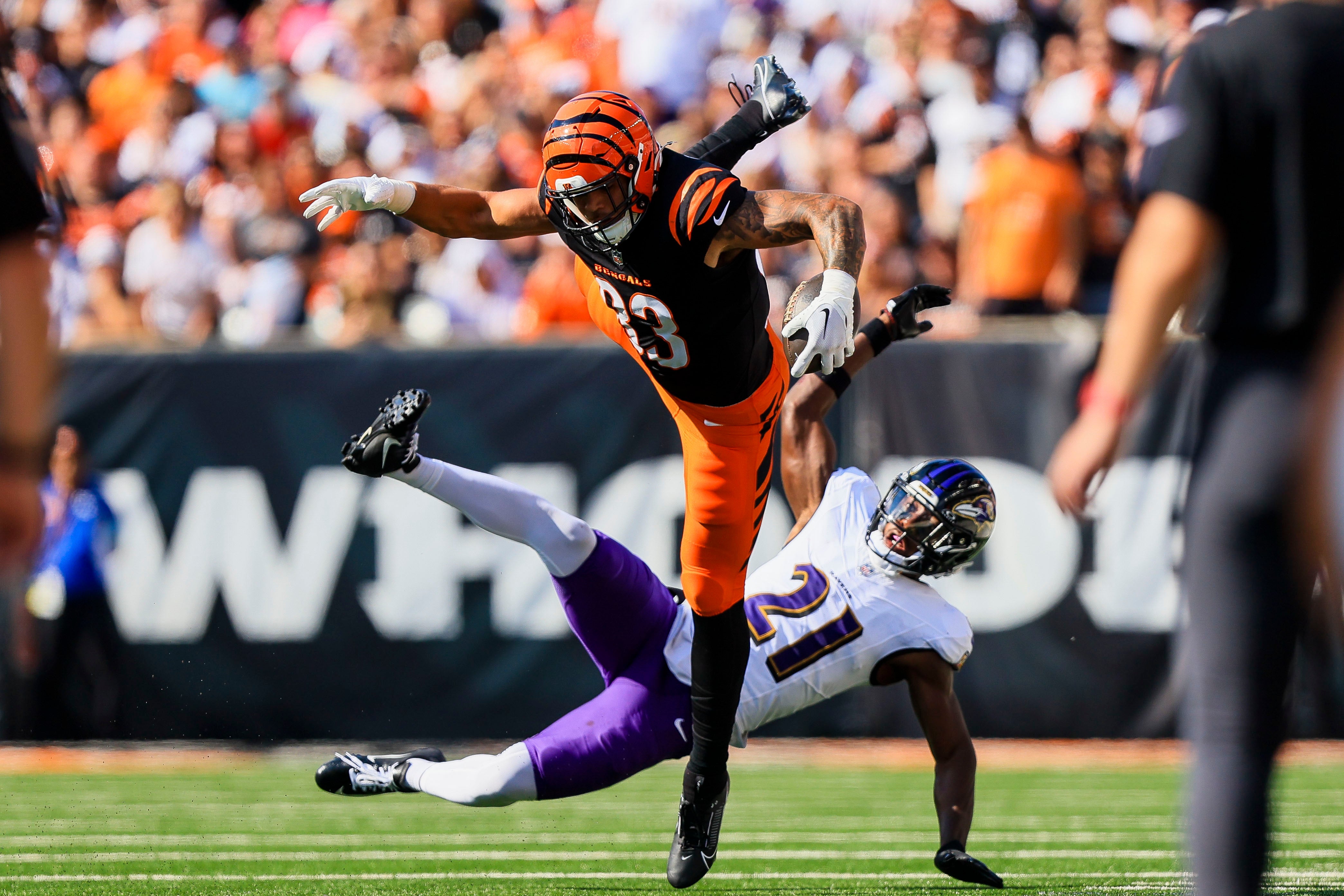 Oct 6, 2024; Cincinnati, Ohio, USA; Cincinnati Bengals tight end Erick All Jr. (83) hurdles over Baltimore Ravens cornerback Brandon Stephens (21) in the second half at Paycor Stadium.