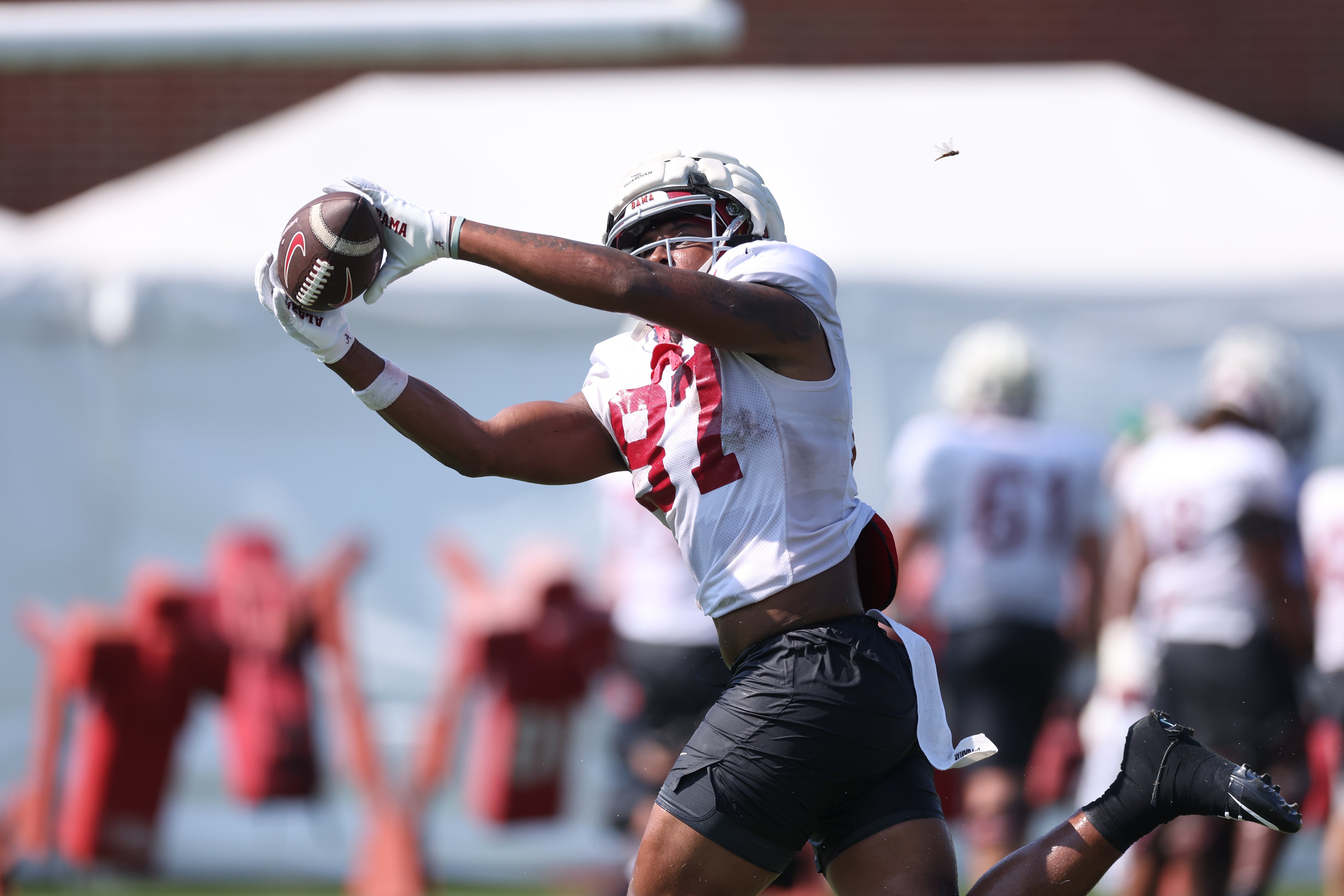 Alabama tight end Danny Lewis