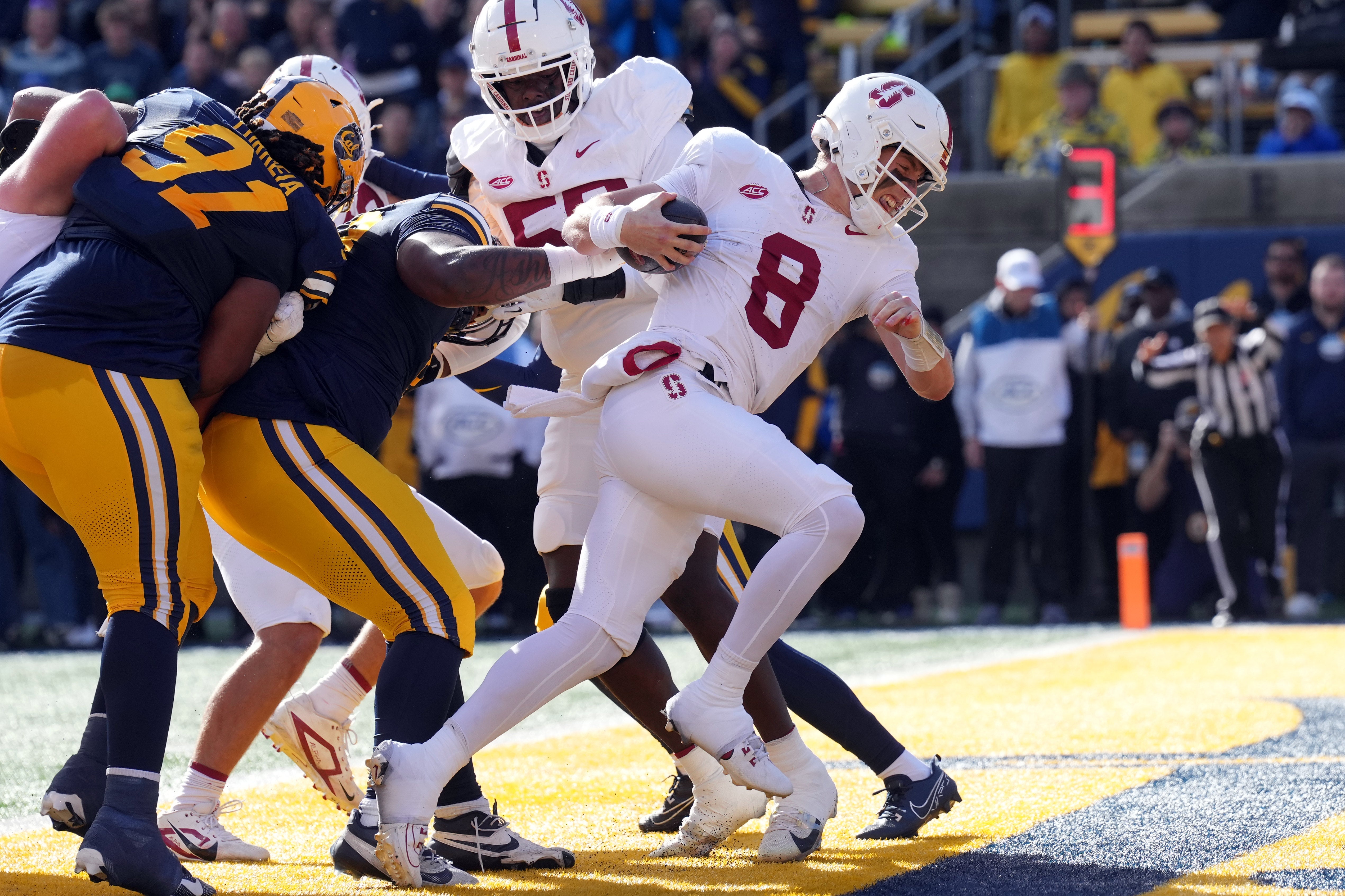 Nov 23, 2024; Berkeley, California, USA; Stanford Cardinal quarterback Justin Lamson (8) rushes for a touchdown against the California Golden Bears during the first quarter at California Memorial Stadium. Mandatory Credit: Darren Yamashita-Imagn Images