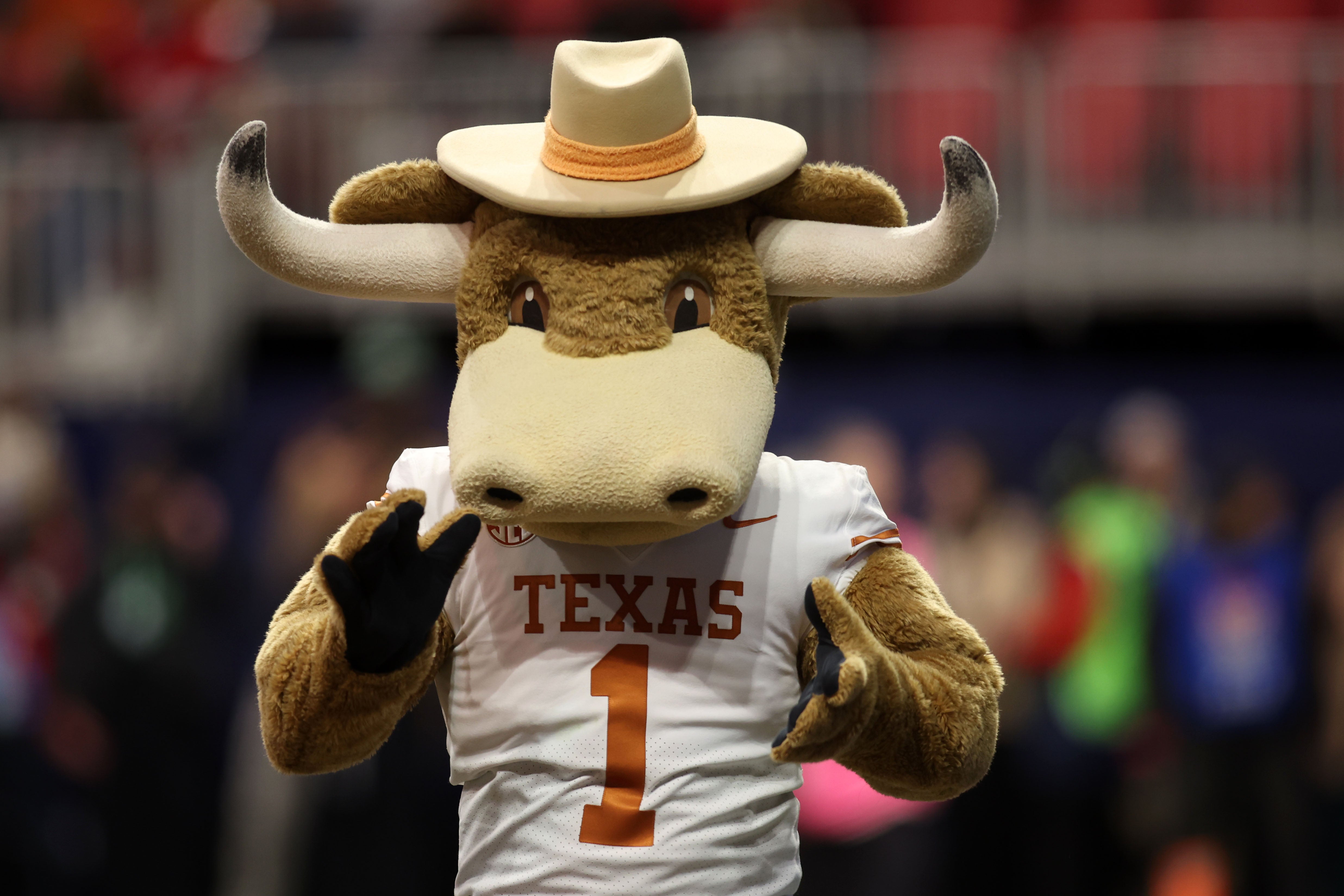 Dec 7, 2024; Atlanta, GA, USA; The Texas Longhorn mascot before the 2024 SEC Championship game at Mercedes-Benz Stadium.