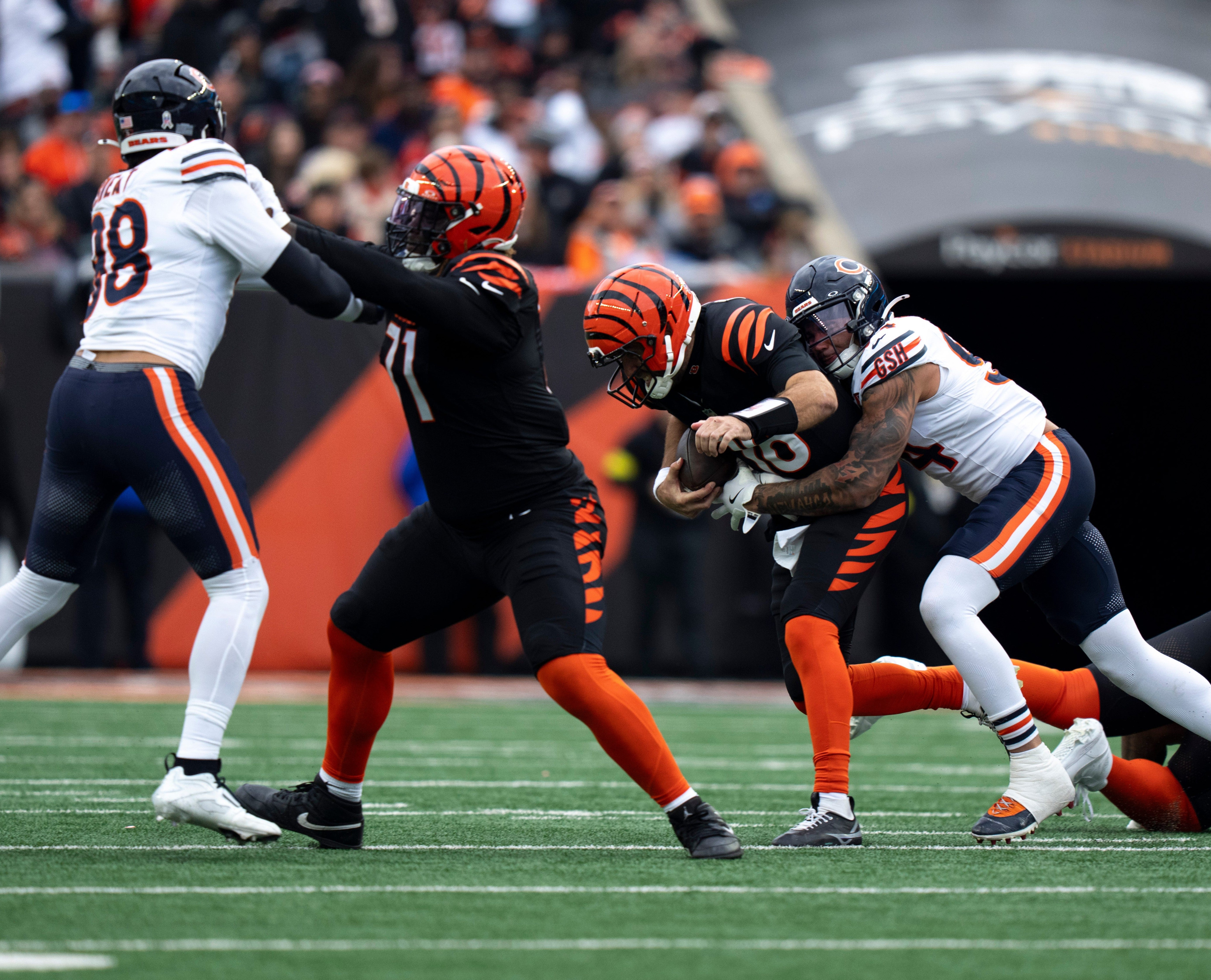 Chicago Bears defensive lineman Austin Booker (94) forces Cincinnati Bengals quarterback Joe Flacco (16) to fumble in the fourth quarter of the NFL football game between Chicago Bears and Cincinnati Bengals at Paycor Stadium in Cincinnati on Nov. 2, 2025.