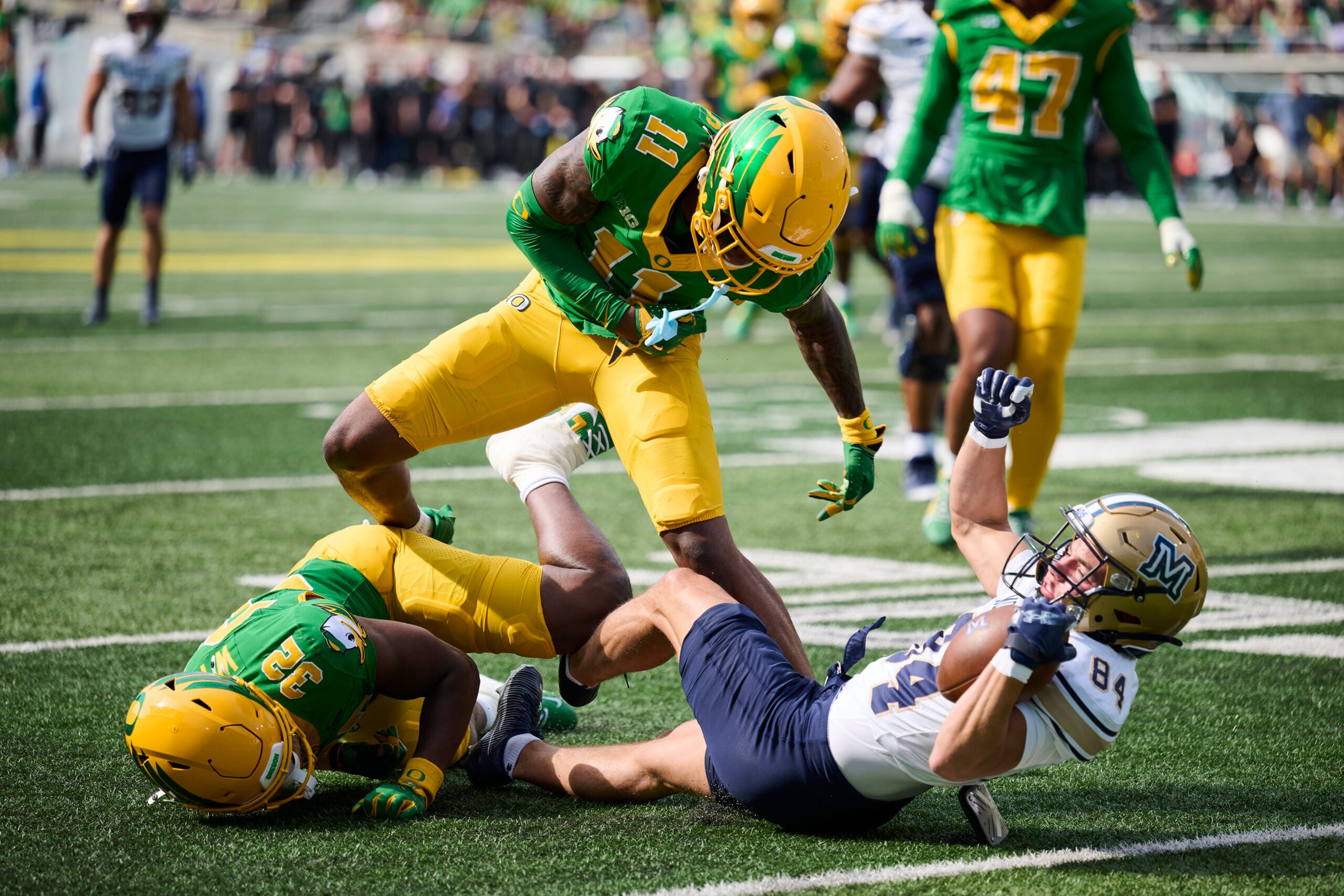 Aug 30, 2025; Eugene, Oregon, USA; Montana State Bobcats wide receiver Dane Steel (84) catches a pass during the second half against Oregon Ducks linebacker Nasir Wyatt (32) and defensive back Dakoda Fields (11) at Autzen Stadium.
