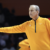 Tennessee Vols basketball