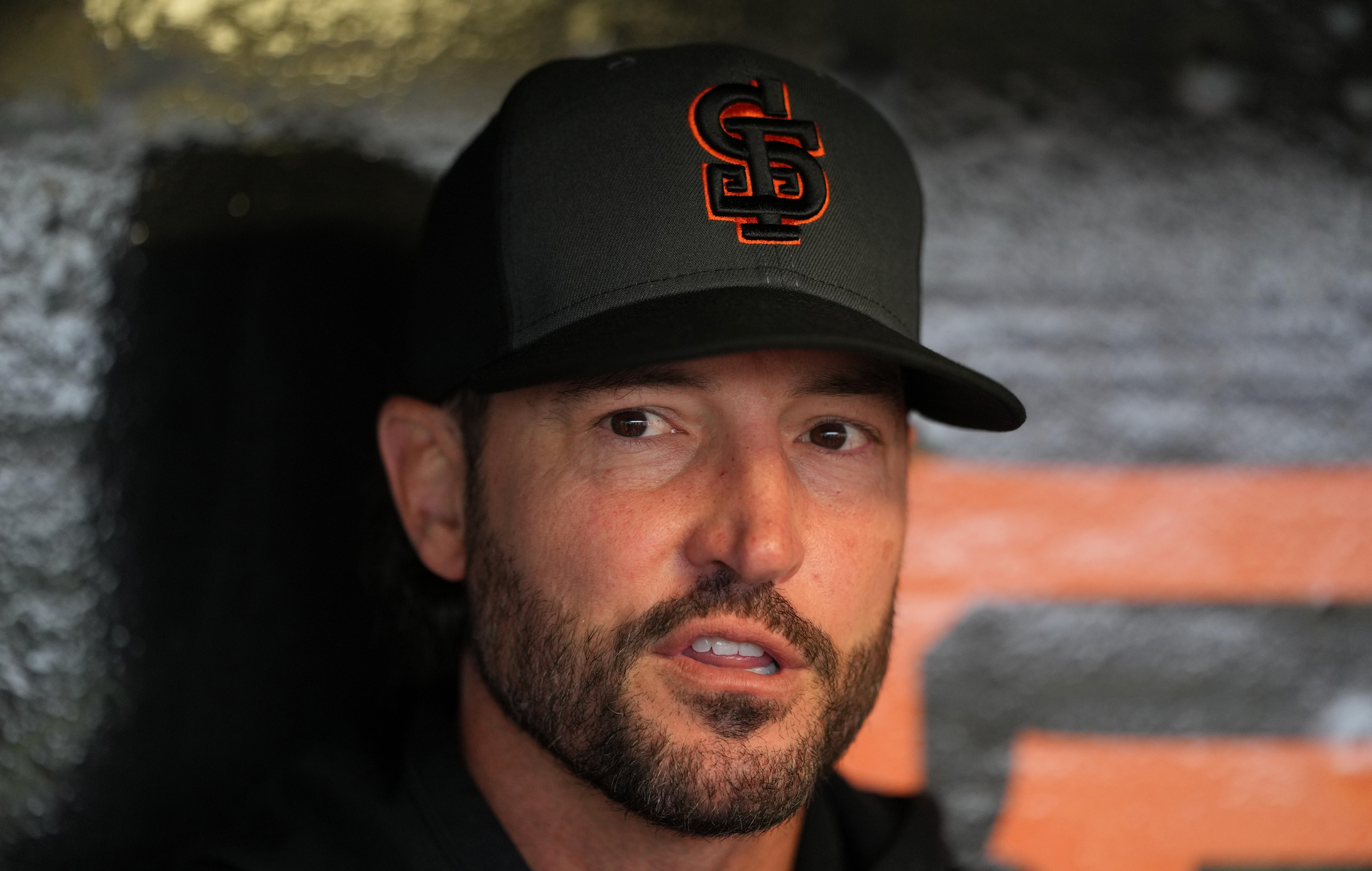 Tennessee Vols baseball